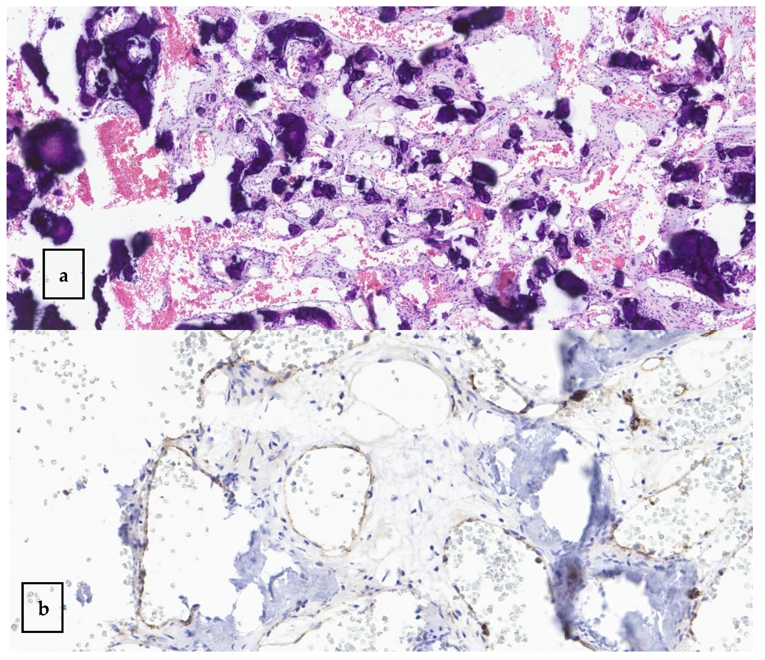 Surgeries 06 00056 g007