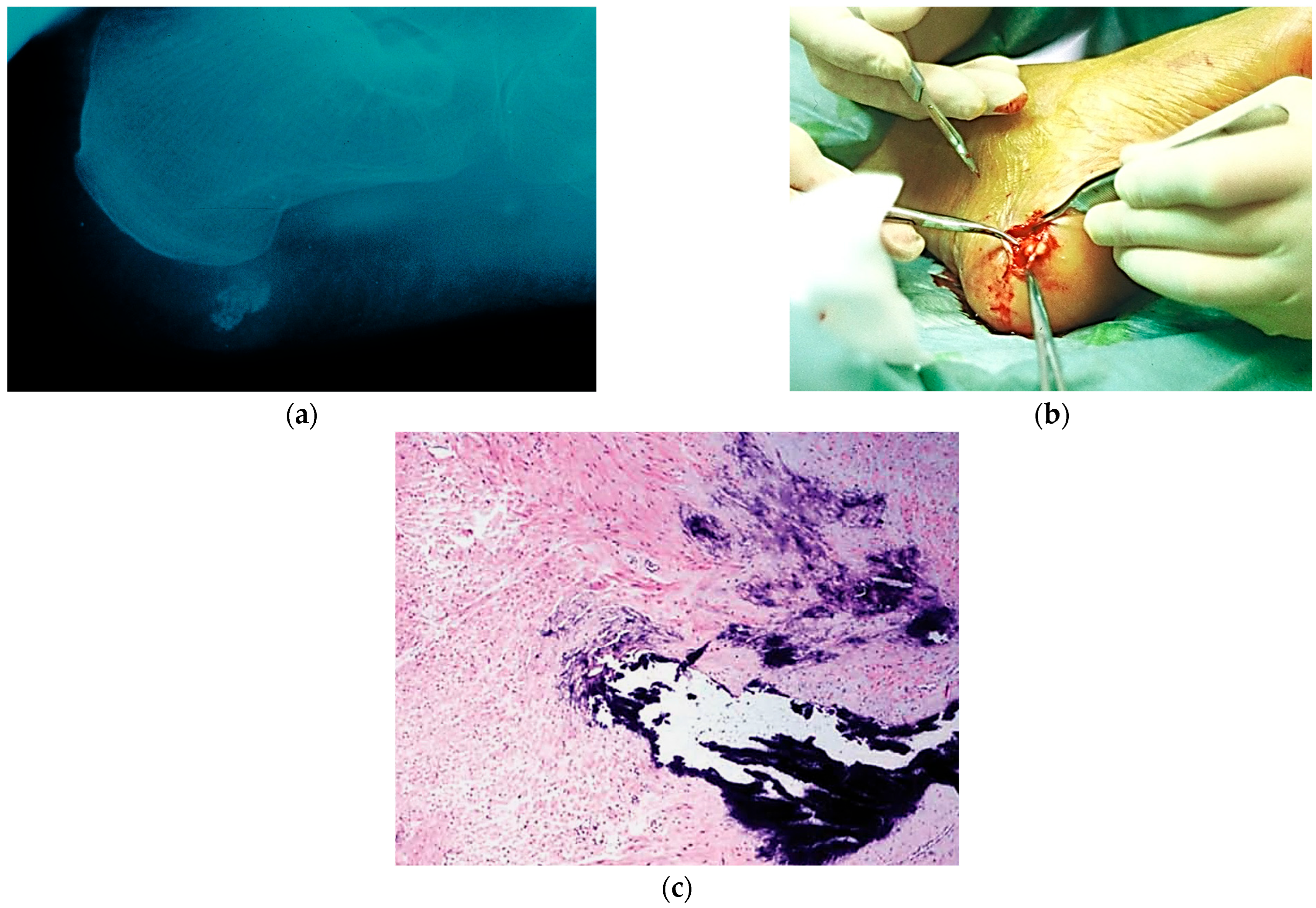 Surgeries 06 00066 g002