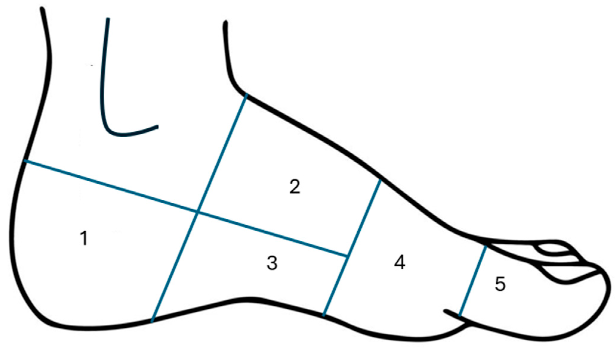 Surgeries 06 00066 g003