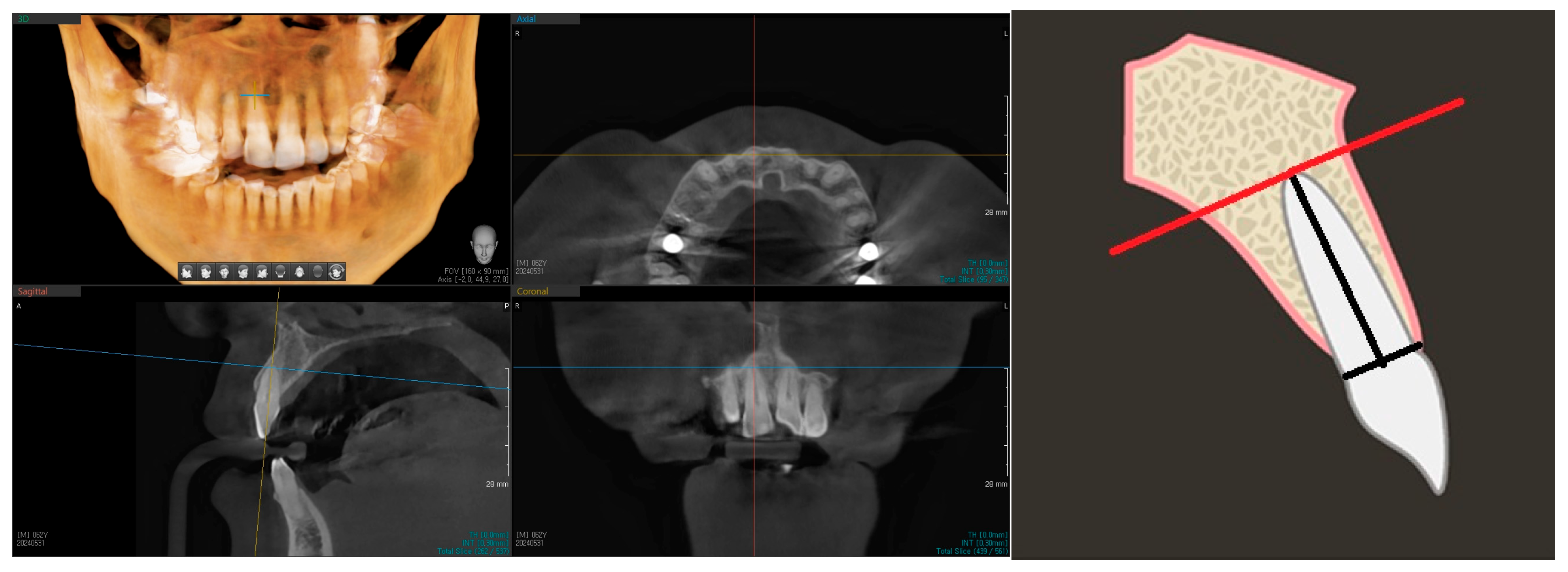 Surgeries 06 00075 g001