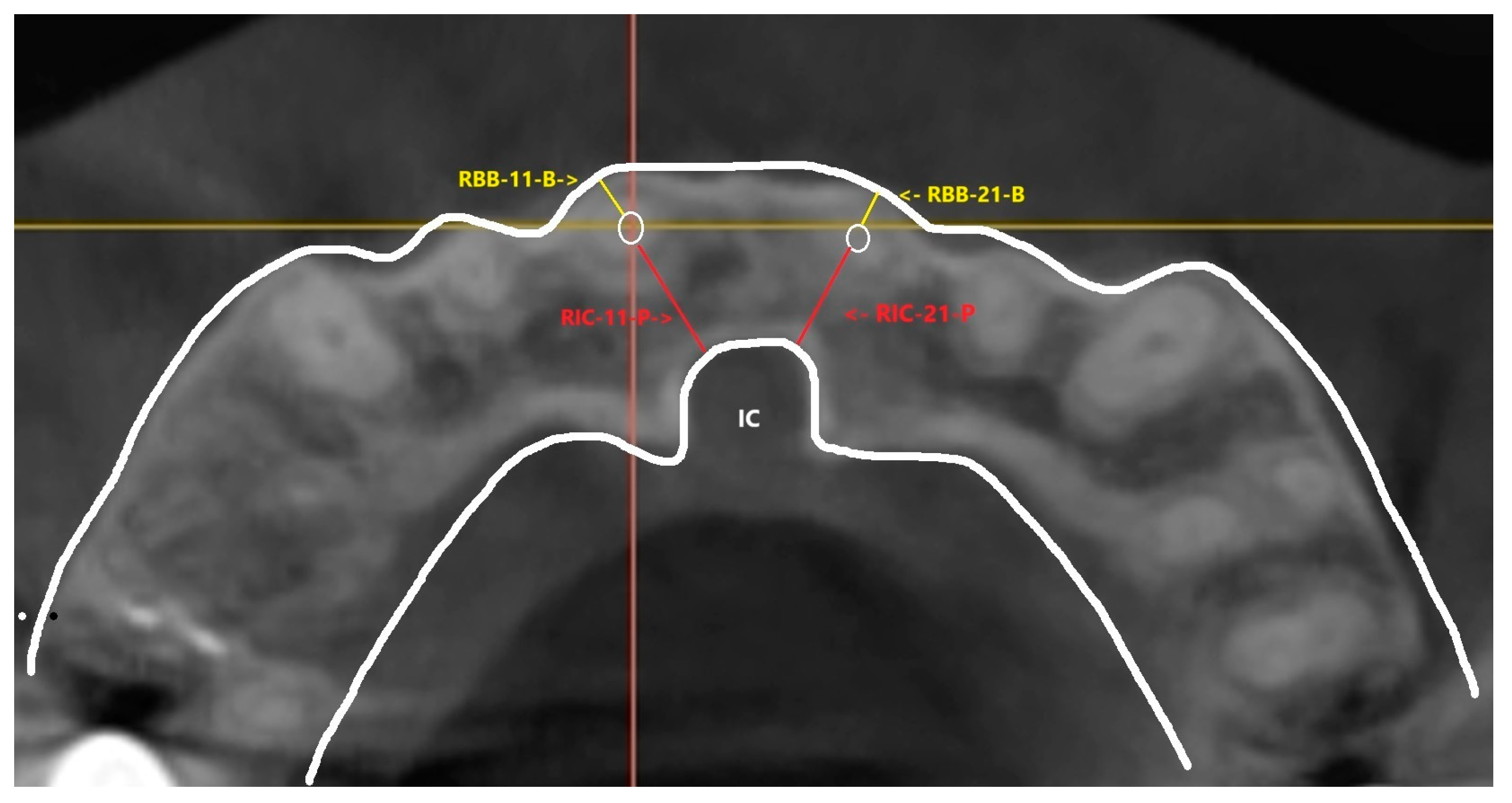 Surgeries 06 00075 g002