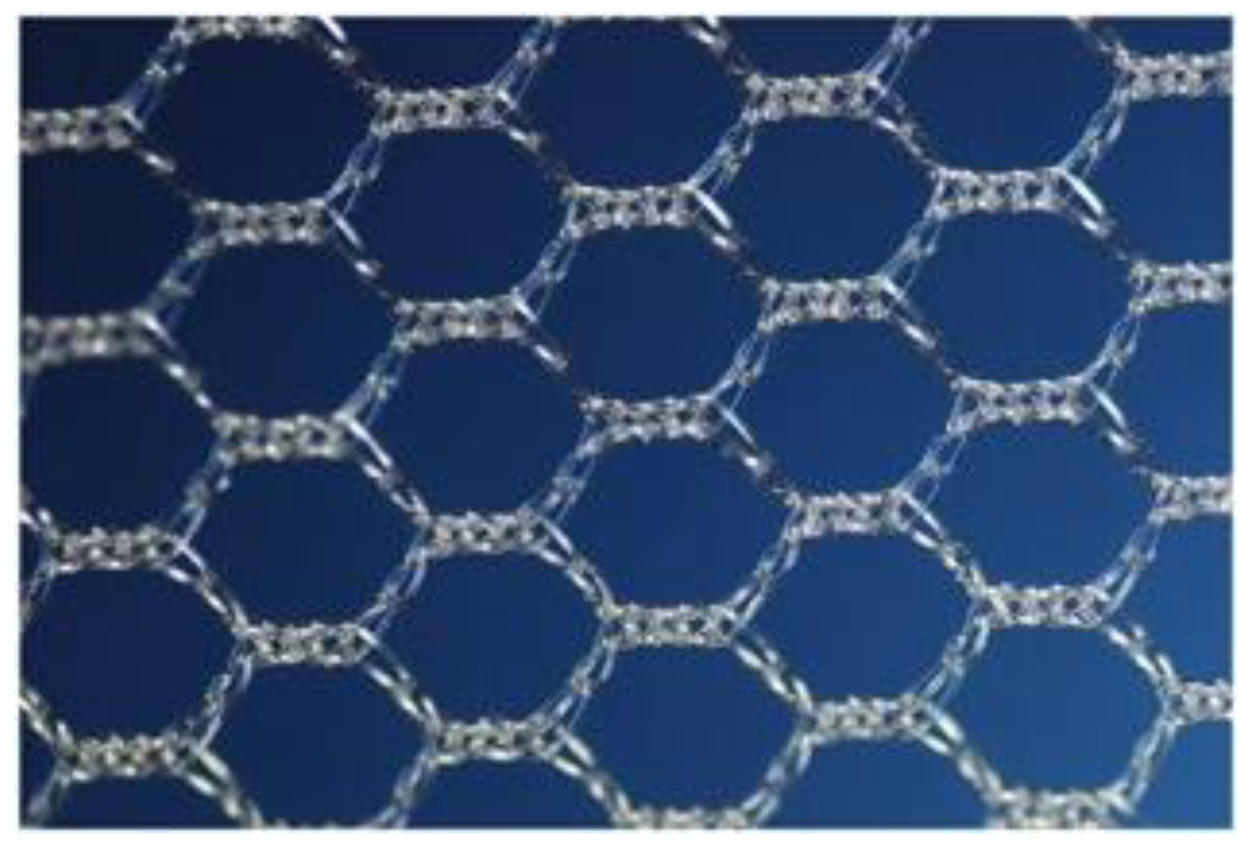 Surgeries 06 00089 g002