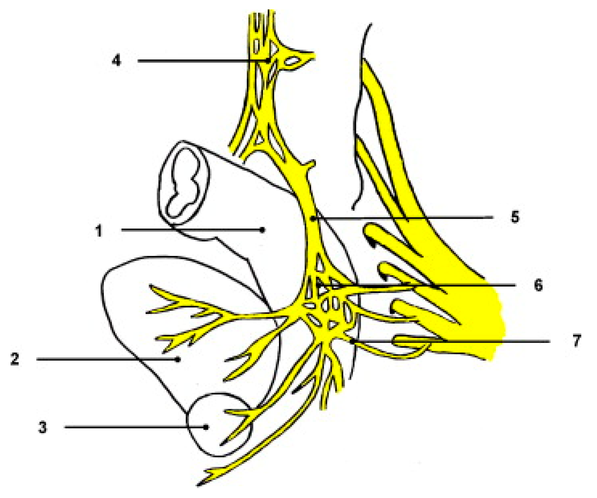 Surgeries 06 00094 g001 Surgeries 06 00094 g001