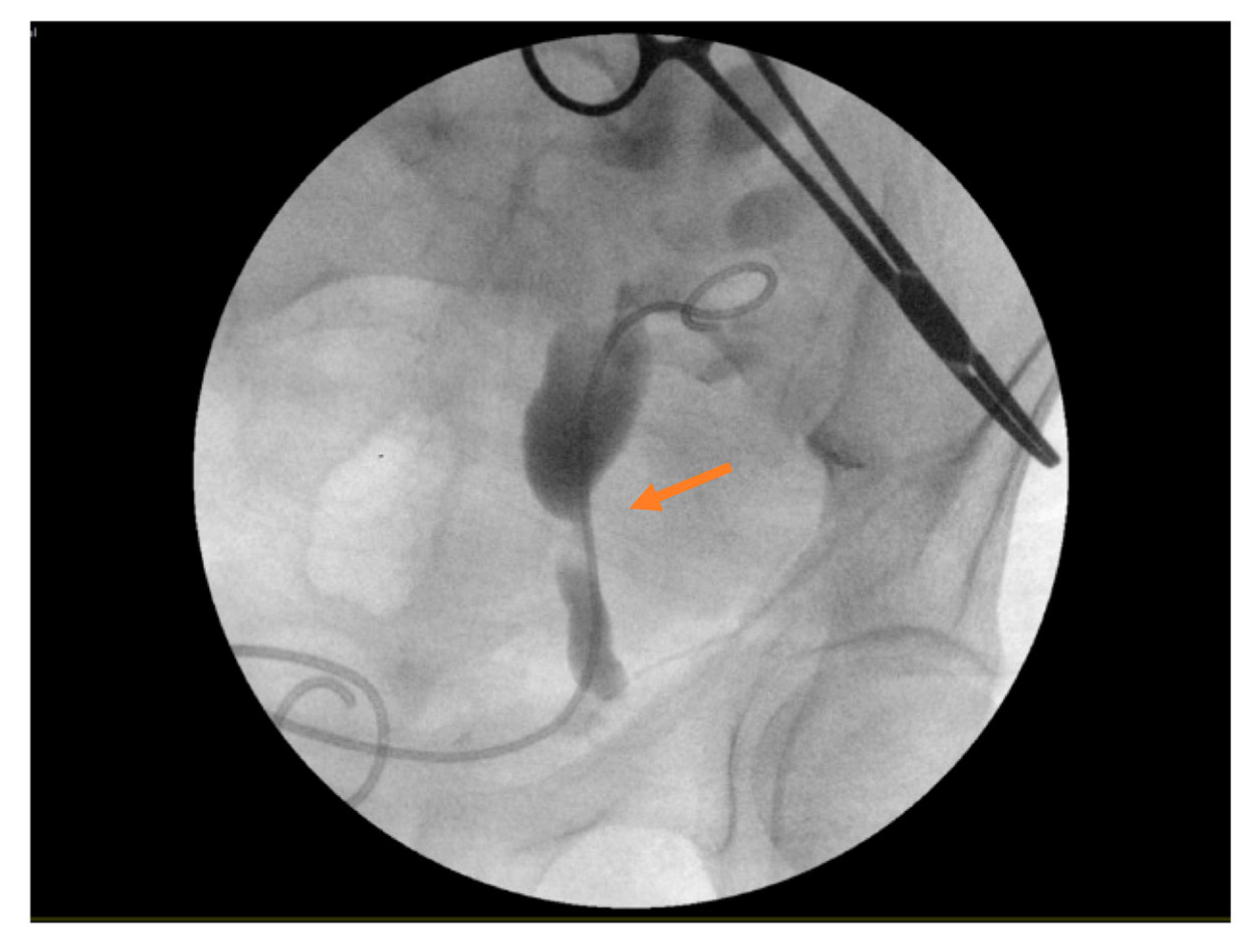 Surgeries 06 00097 g003