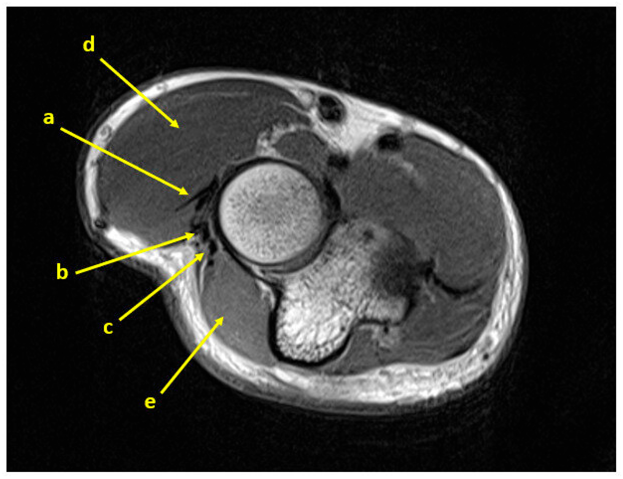 Surgeries 06 00105 g009