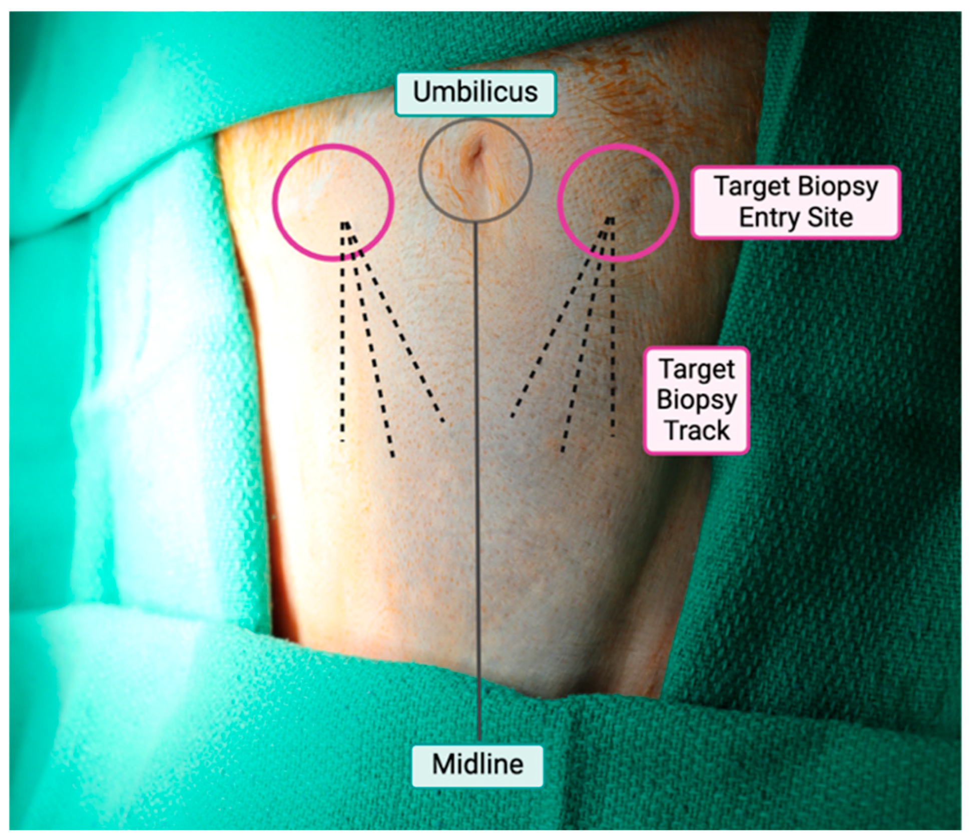 Surgeries 06 00106 g001