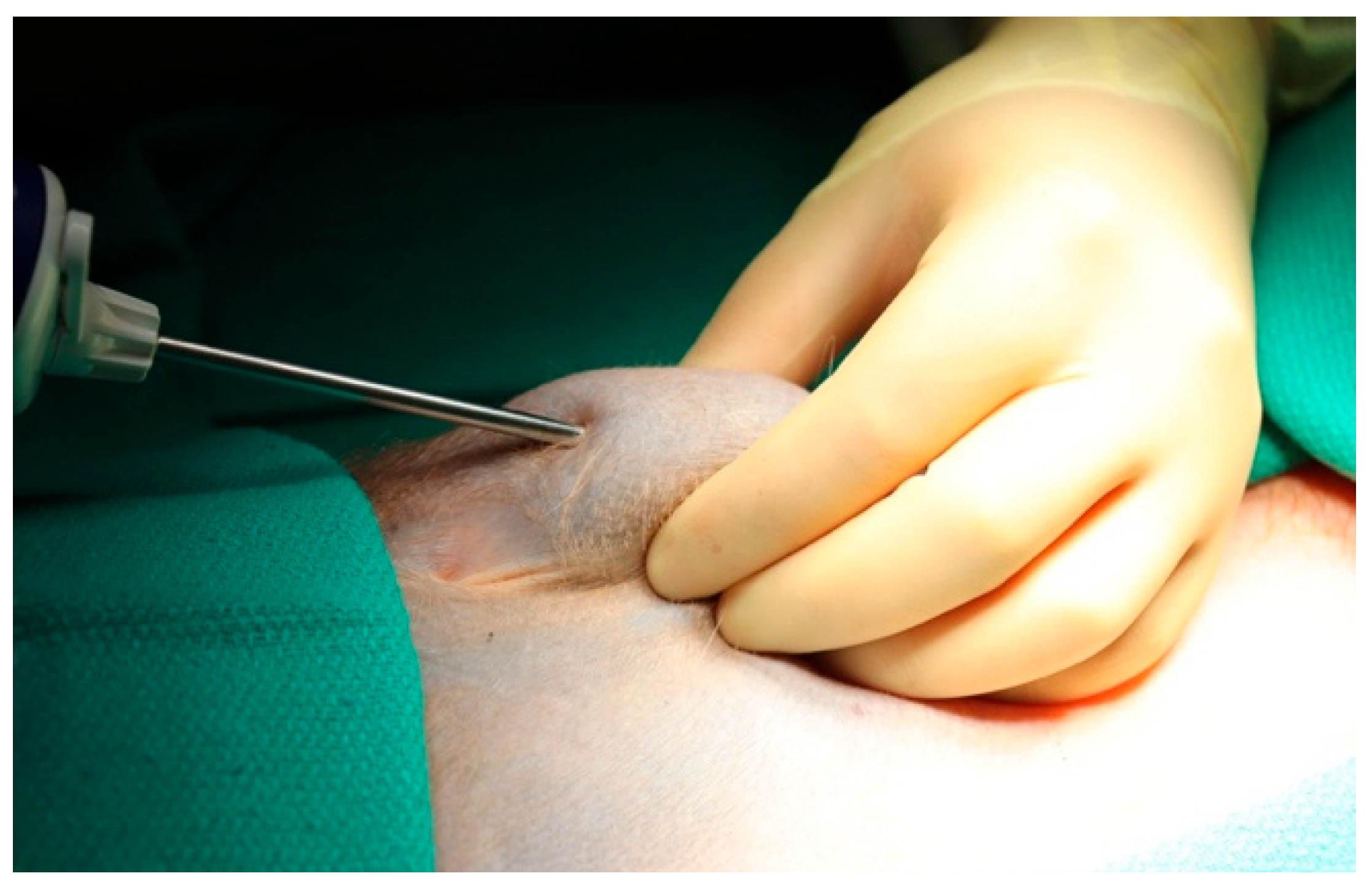 Surgeries 06 00106 g002