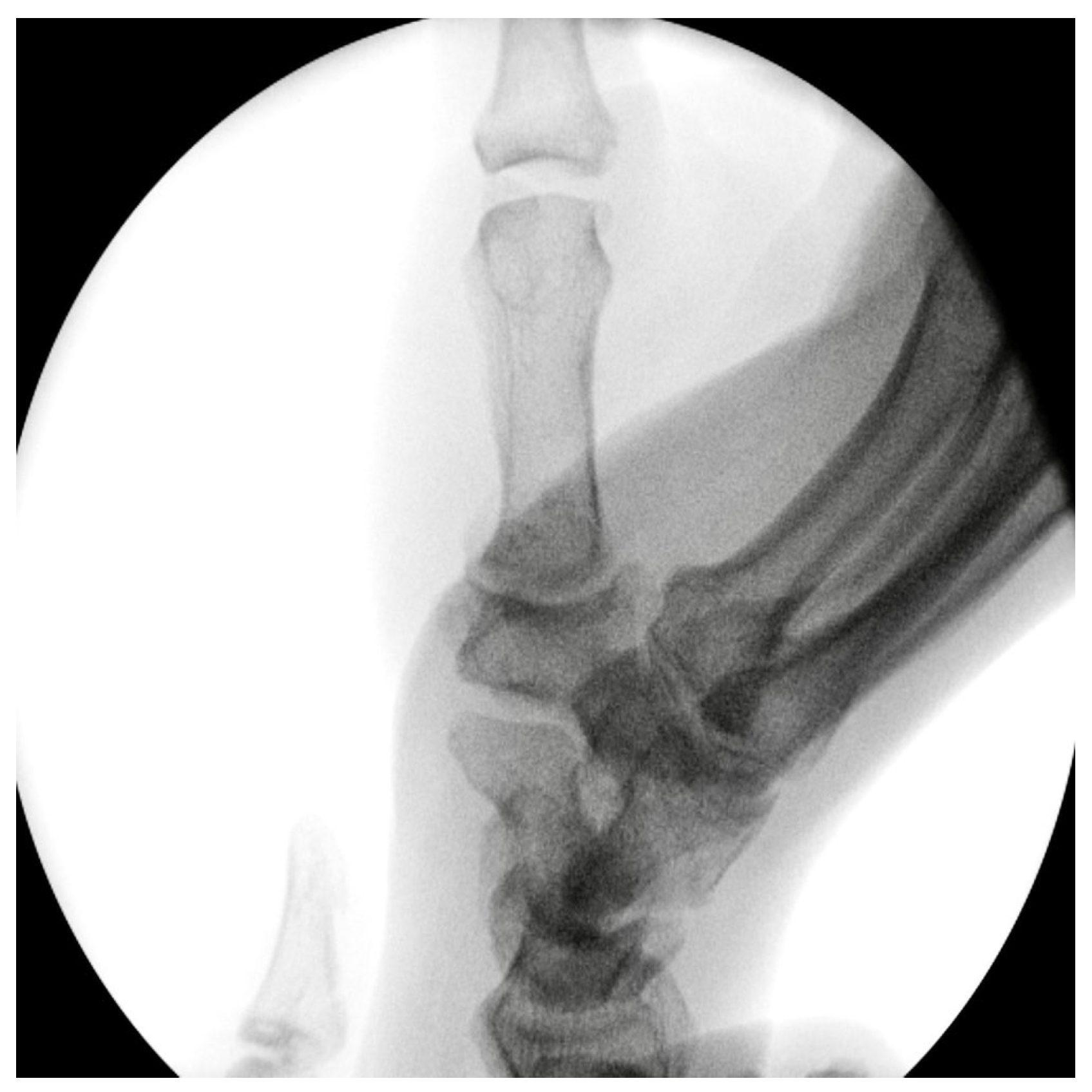 Surgeries 07 00006 g001