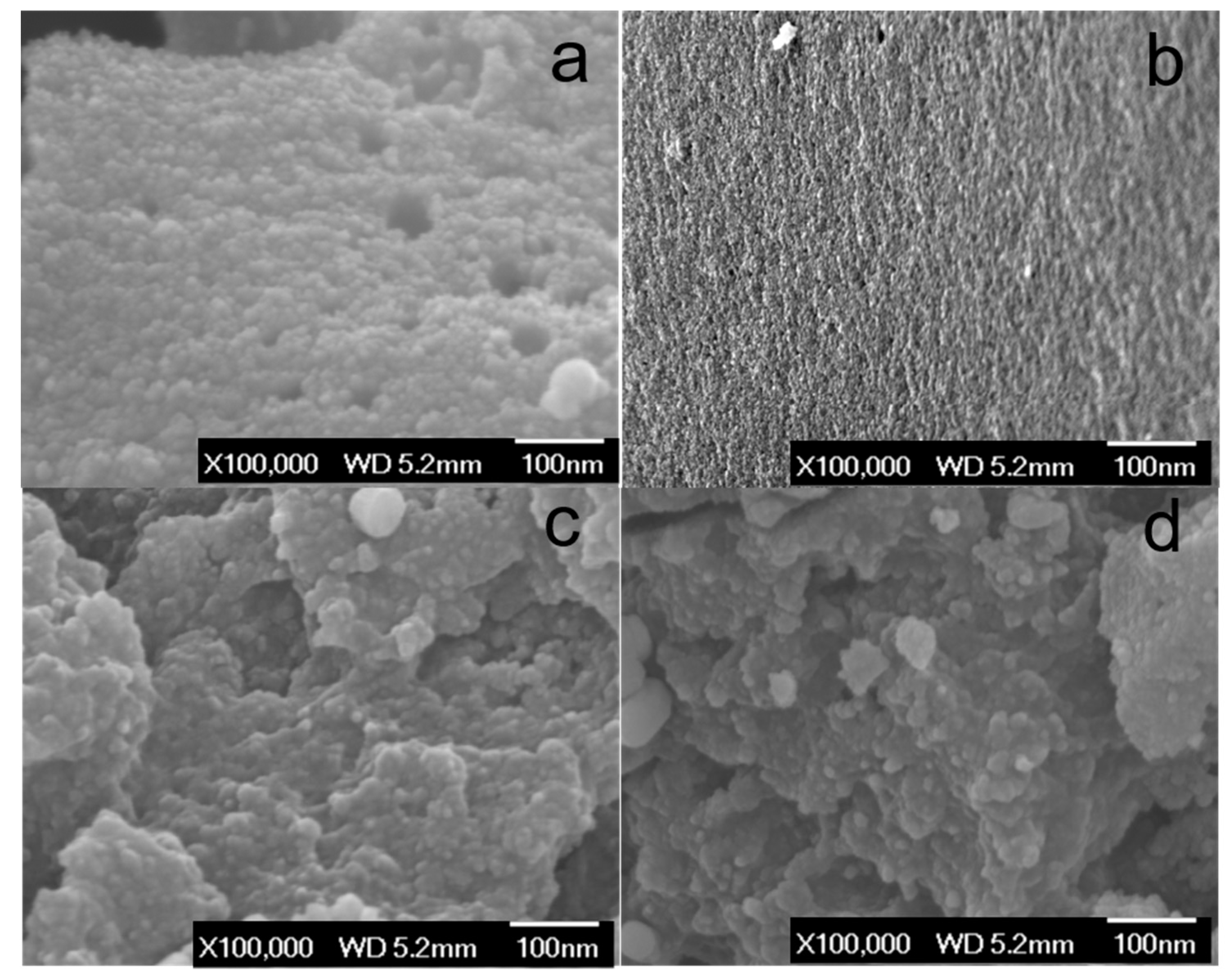 【感謝価格】 Tungsten Pt-Promoted Carbide Mesoporous on Nanostructures アイドル