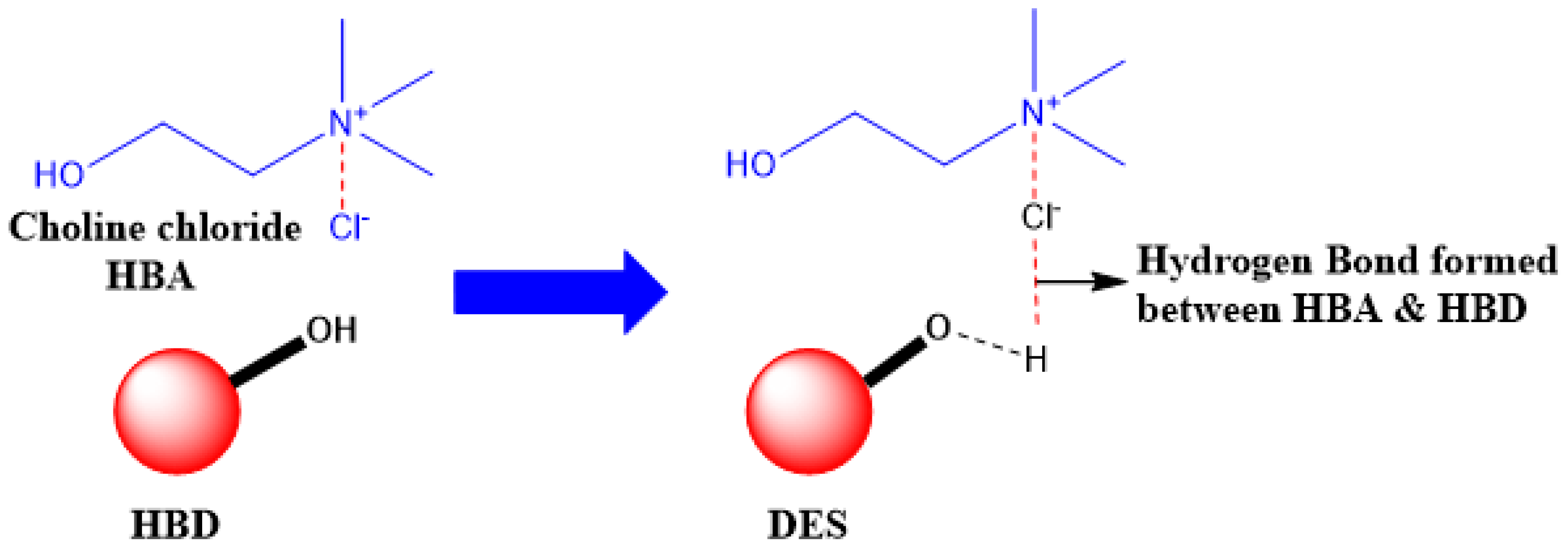 Suschem 01 00010 g005 Suschem 01 00010 g005