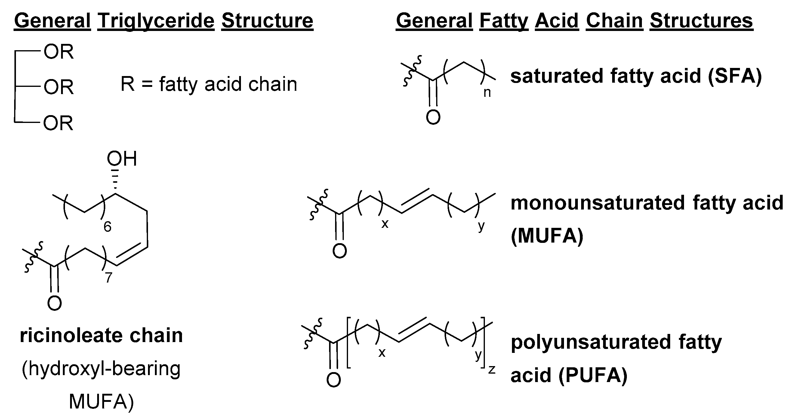 What Is The General Formula For Fatty Acids Fatty Acid General Structure