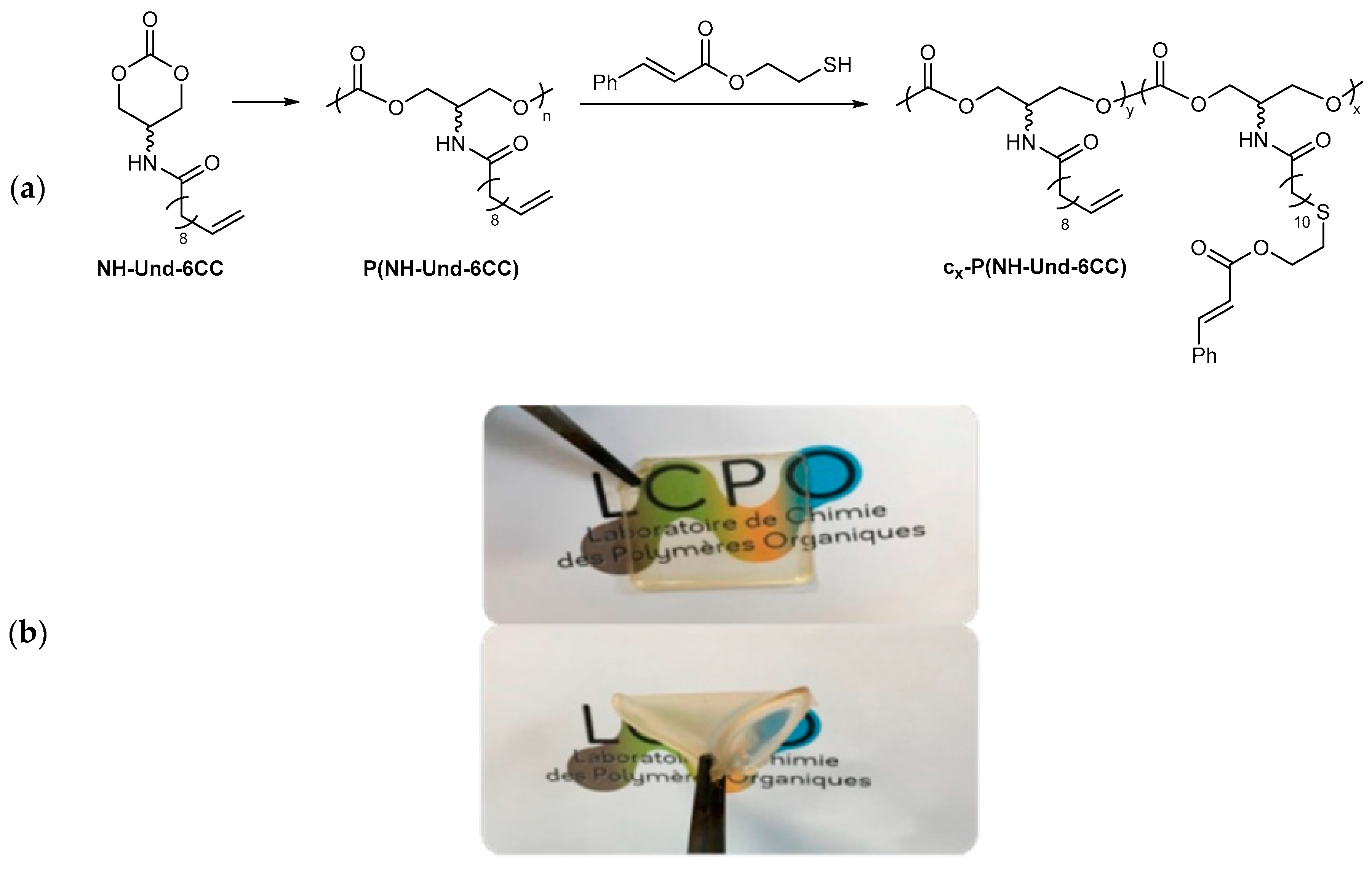 Suschem 01 00015 g011 Suschem 01 00015 g011