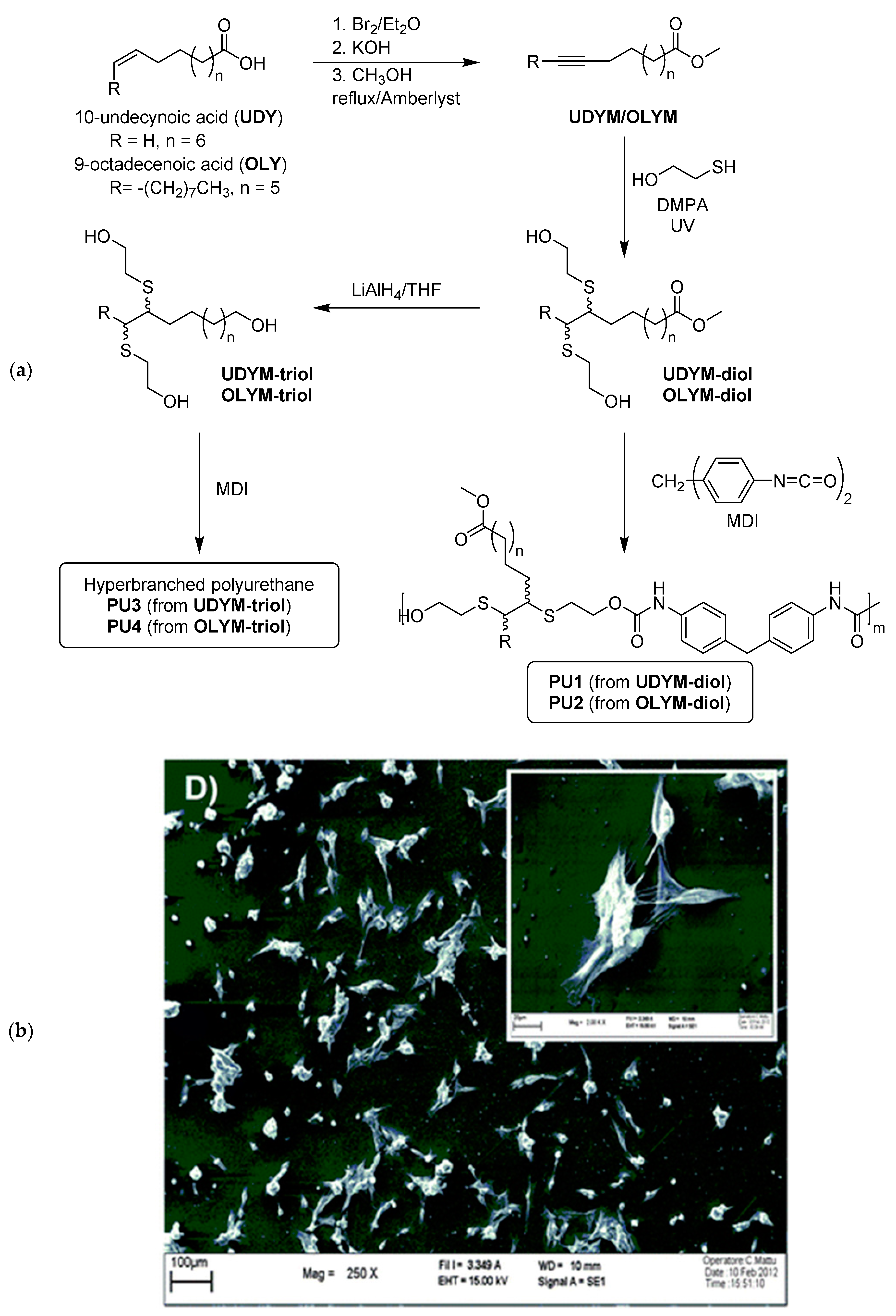 Suschem 01 00015 g018 Suschem 01 00015 g018