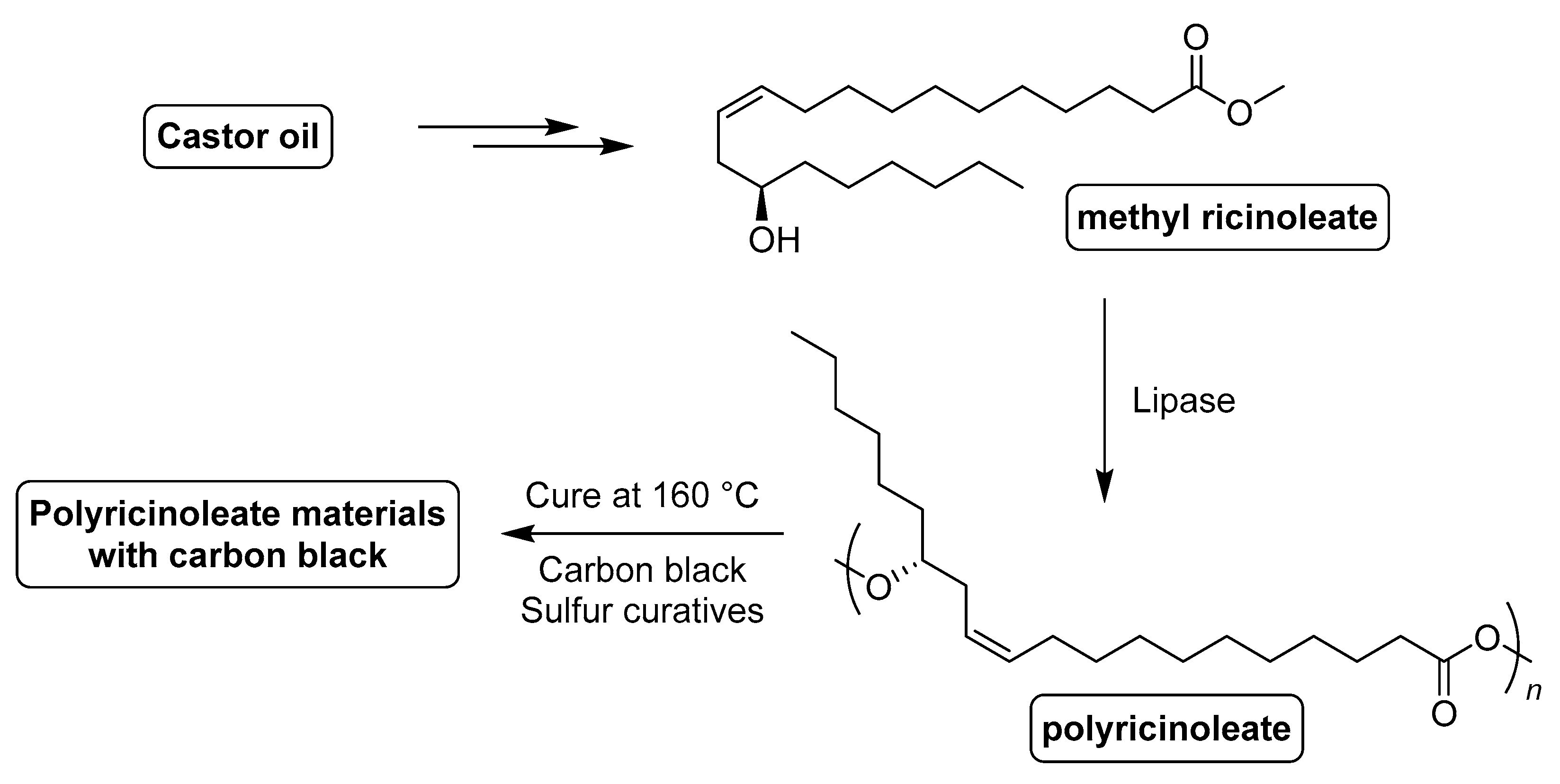 Suschem 01 00015 g022 Suschem 01 00015 g022