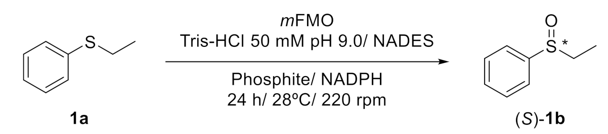 Suschem 01 00019 i001