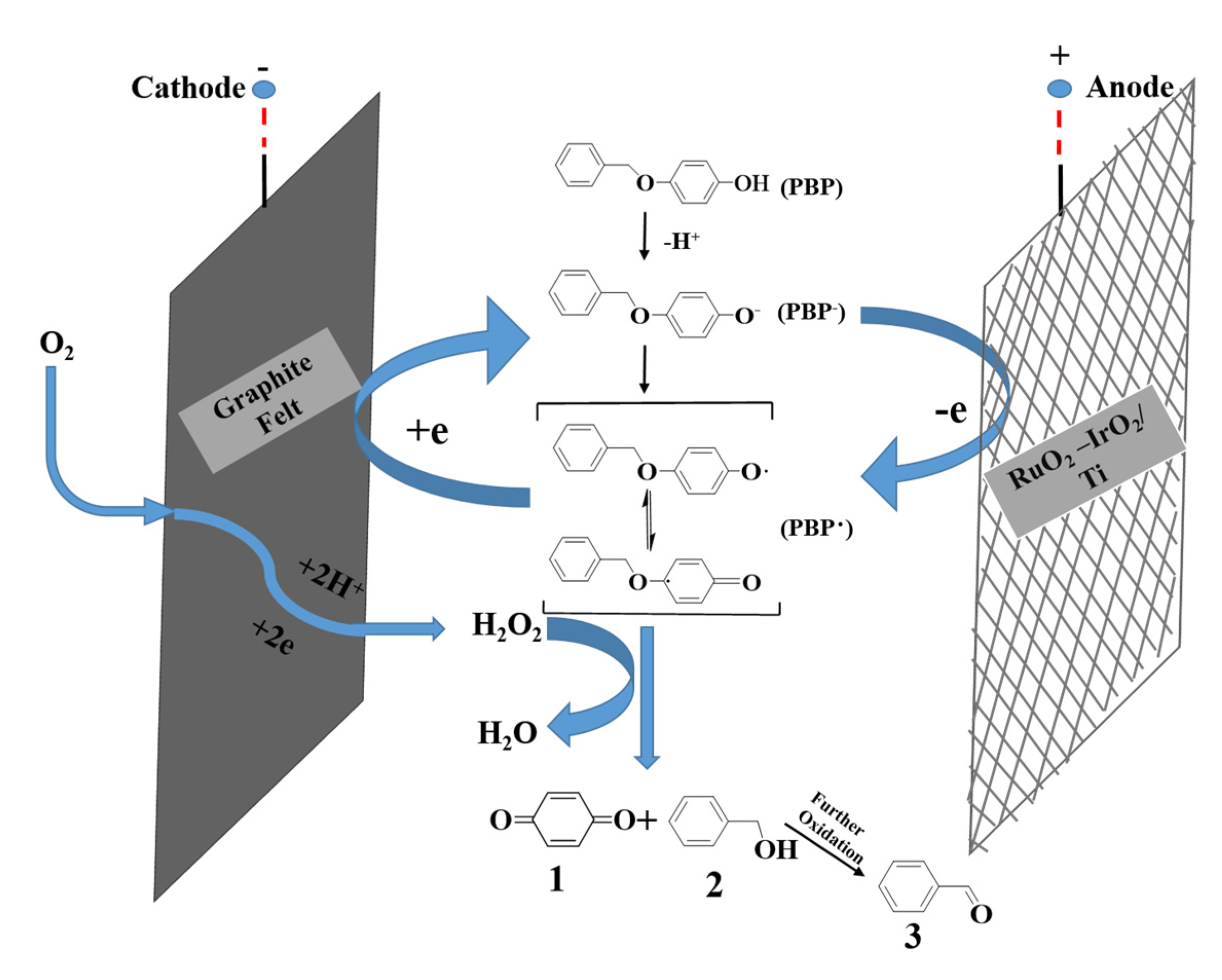 Suschem 01 00023 g007 Suschem 01 00023 g007