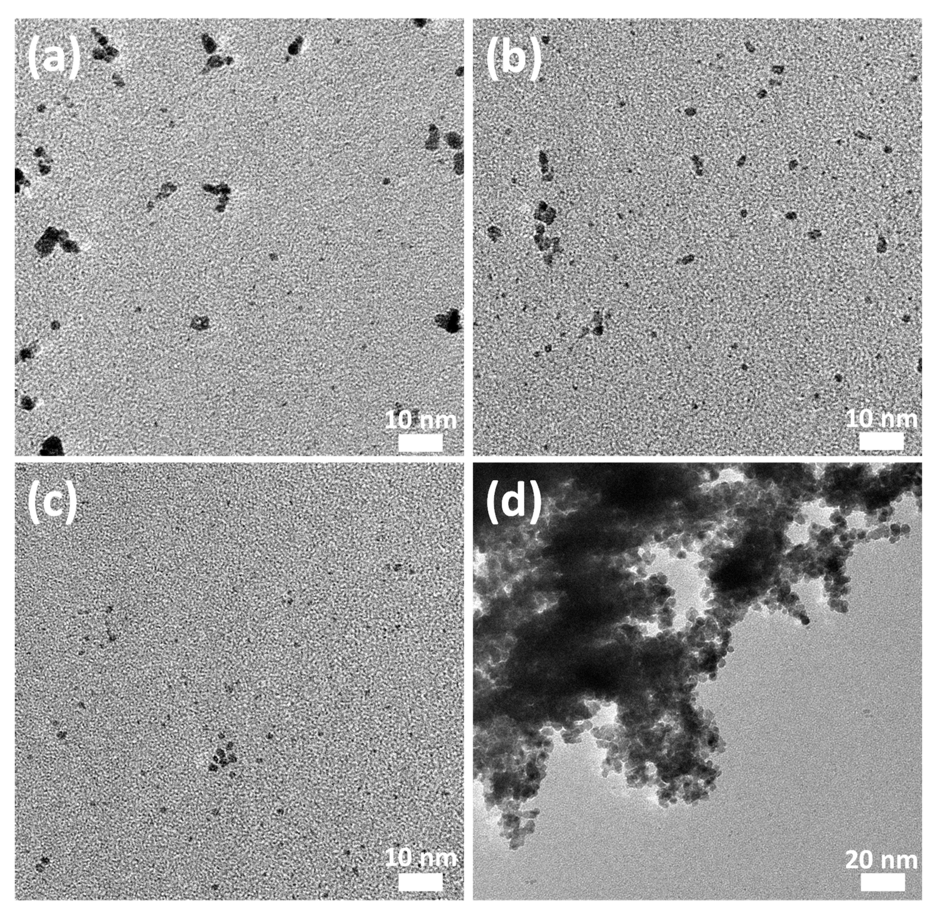 Suschem 02 00001 g002