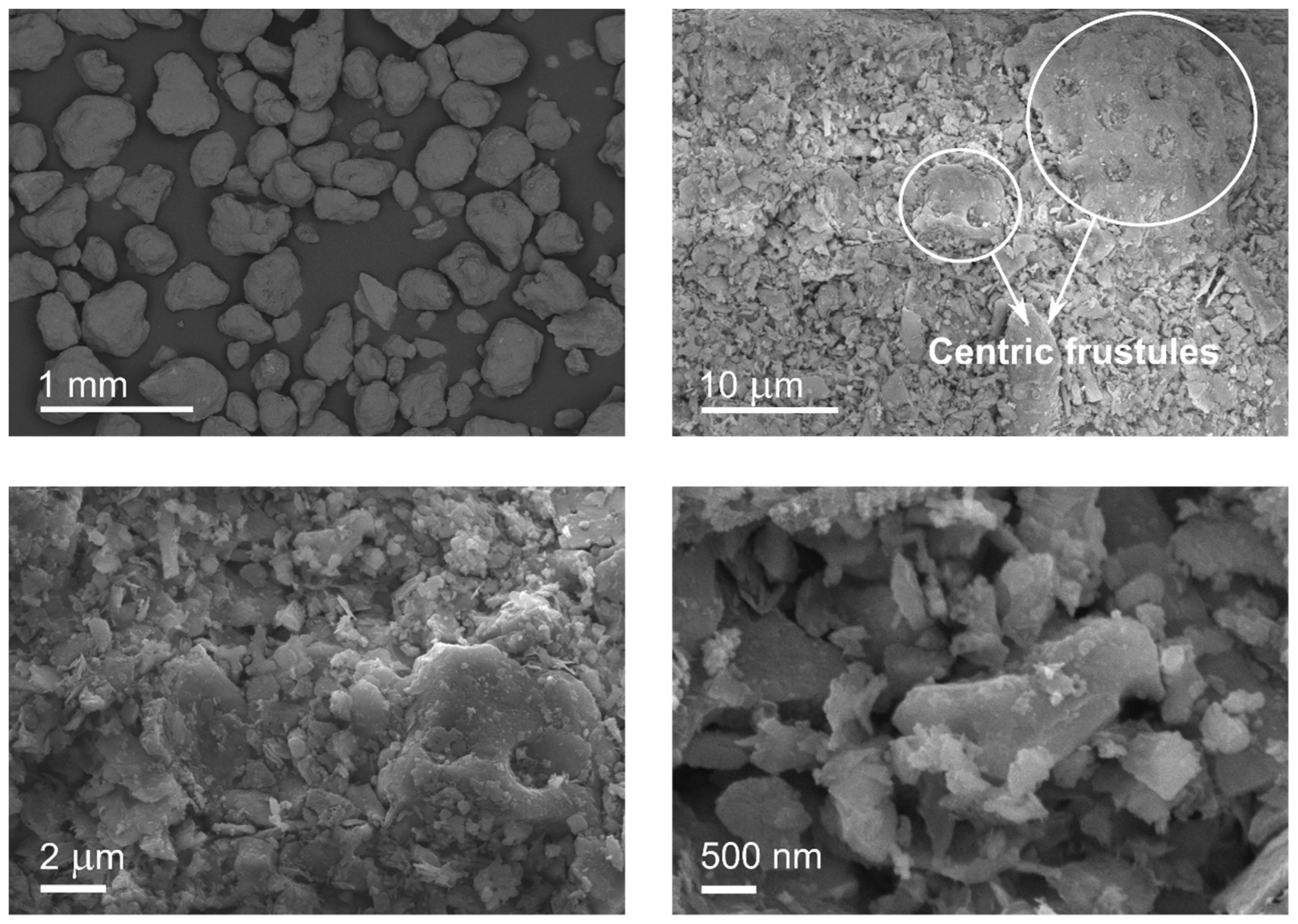 Suschem 02 00003 g007