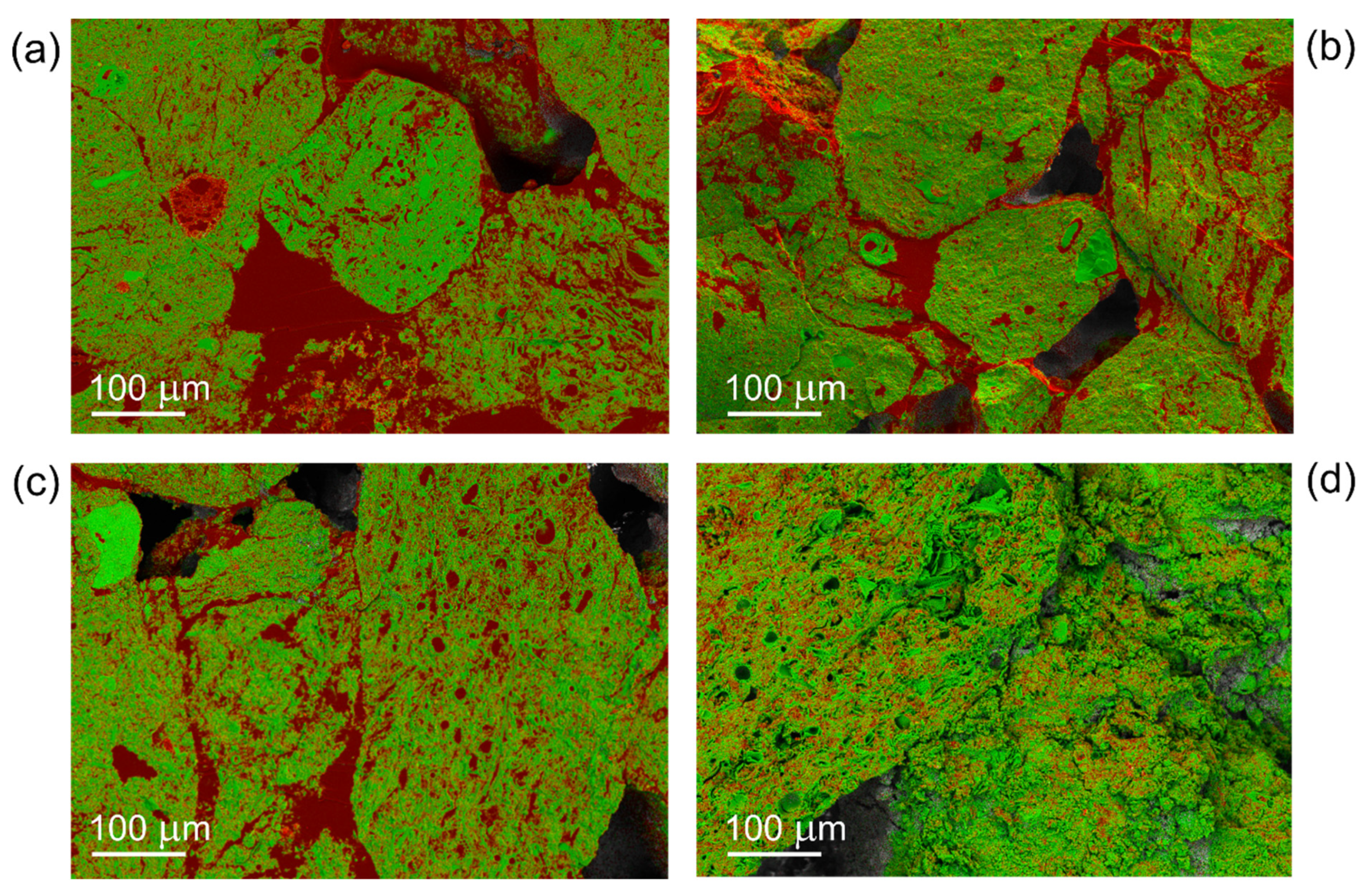 Suschem 02 00003 g011