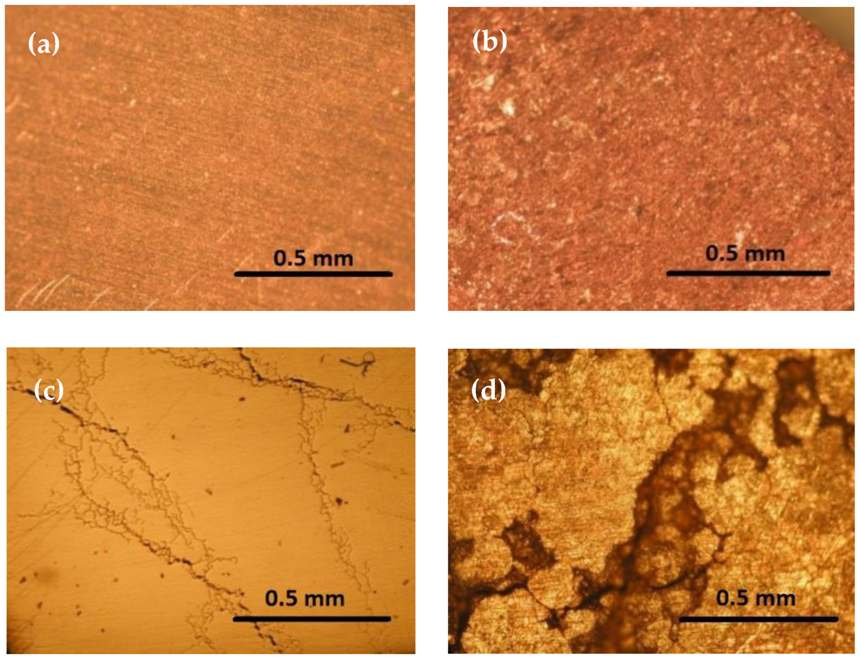 Suschem 02 00005 g001