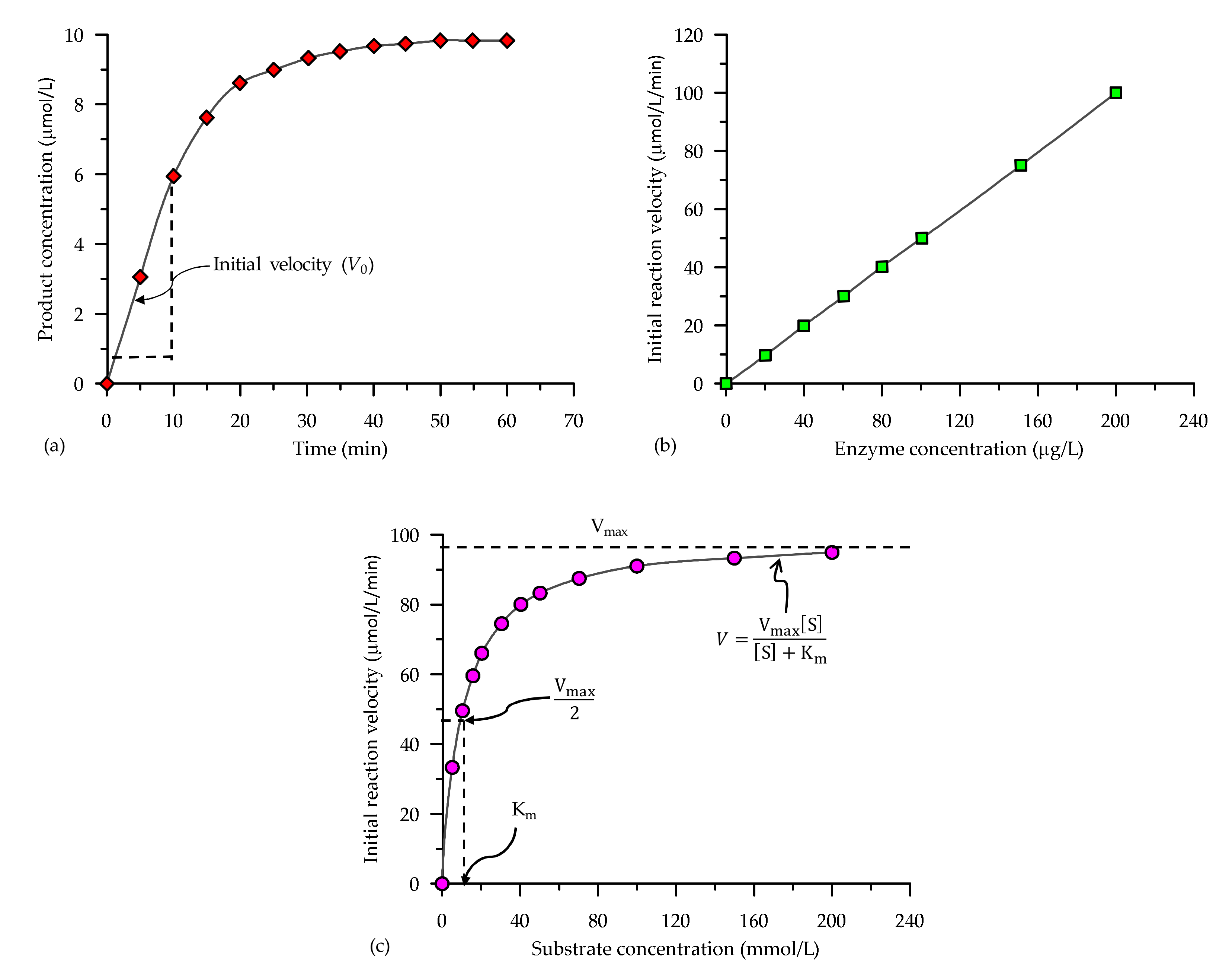 Suschem 02 00007 g002