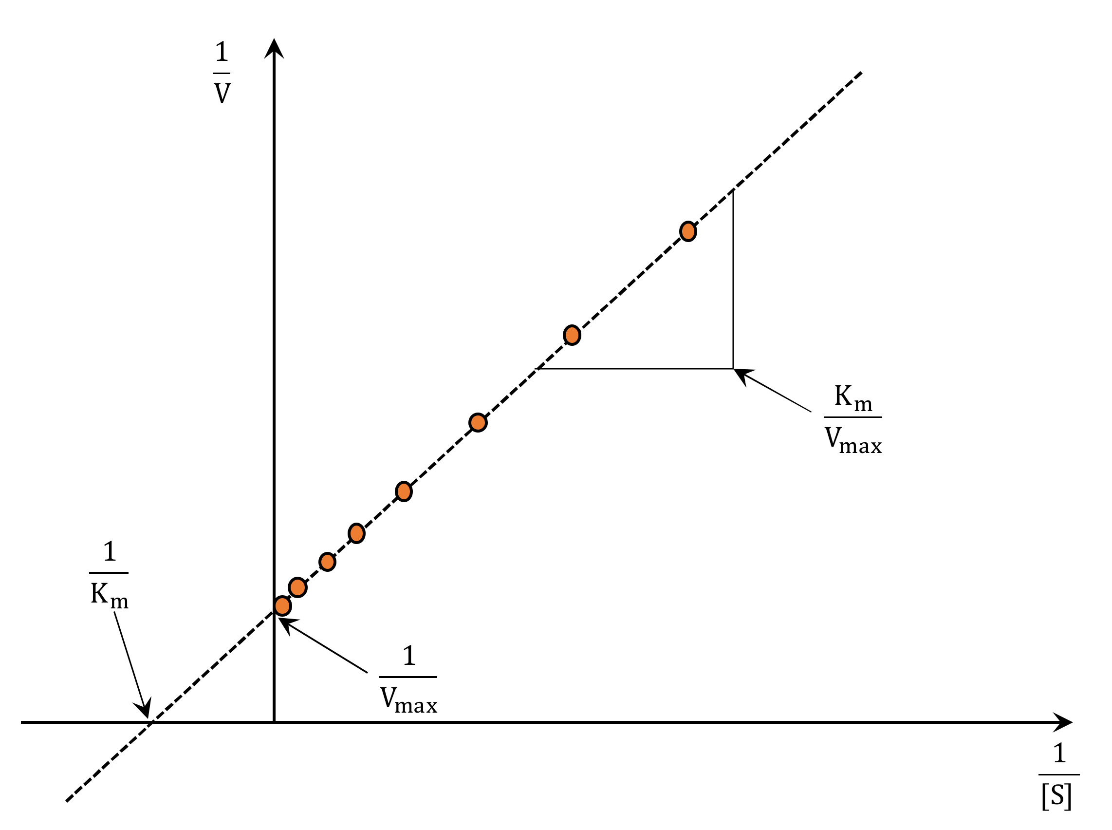 Suschem 02 00007 g004