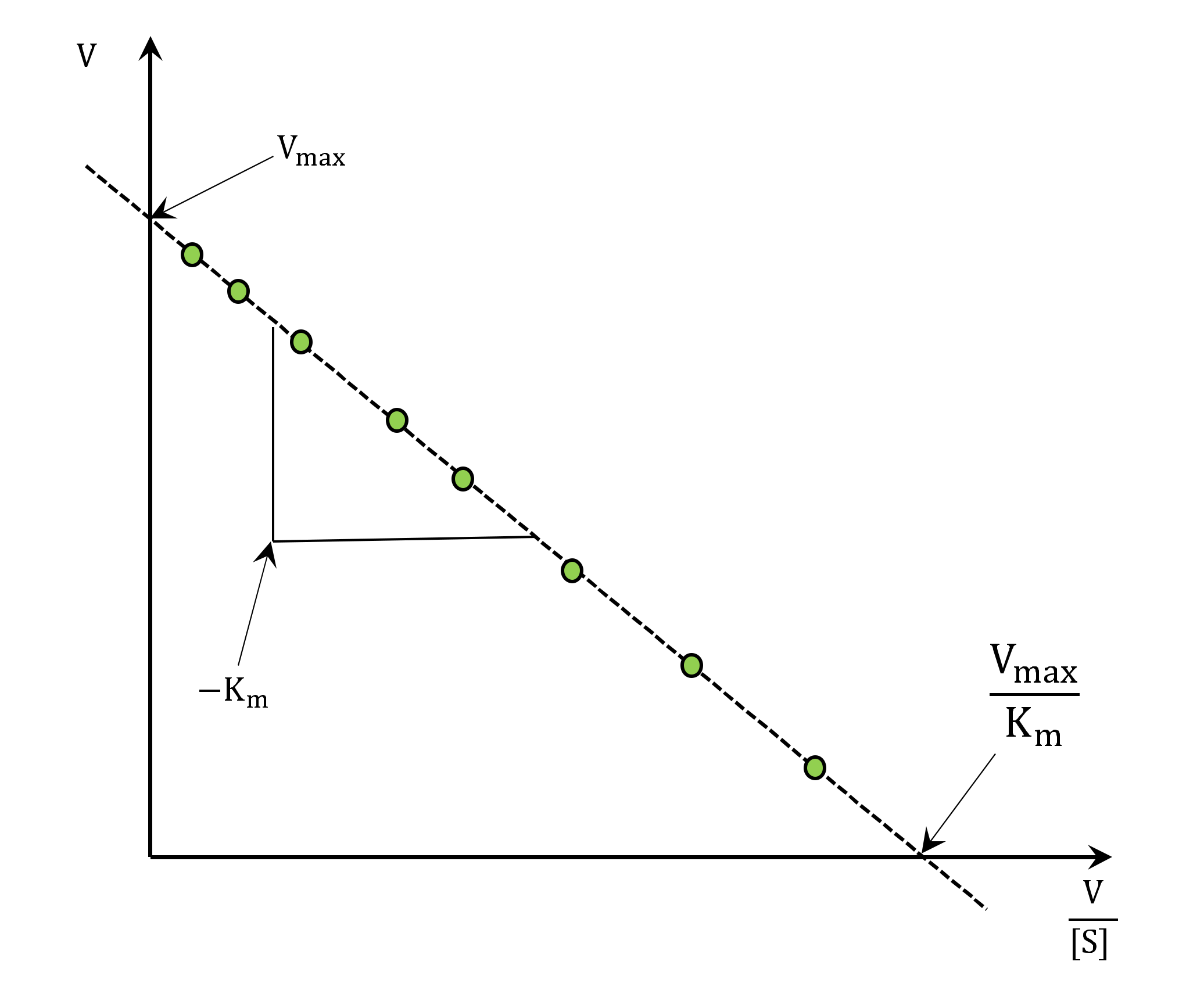 Suschem 02 00007 g005