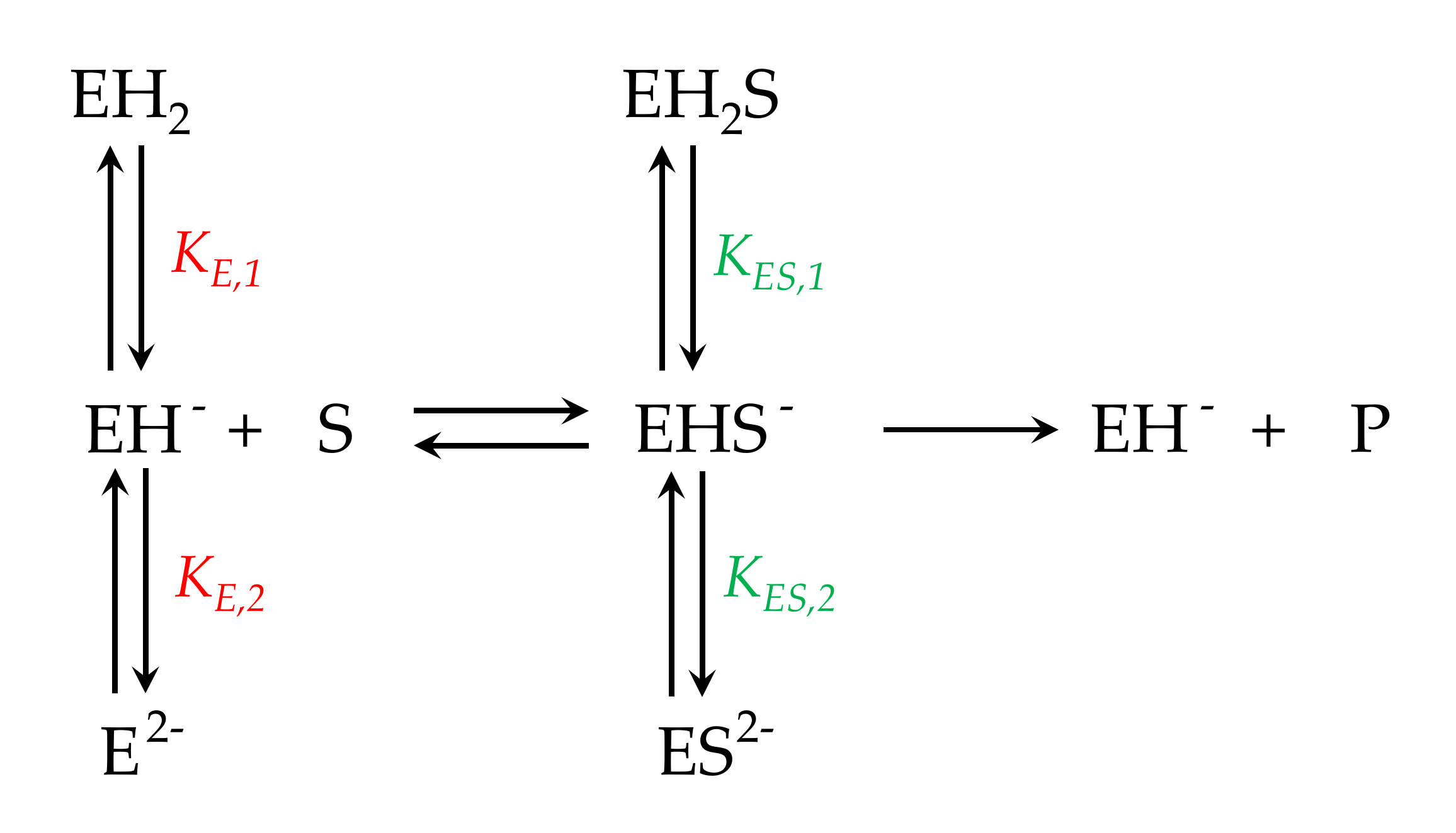 Suschem 02 00007 g006