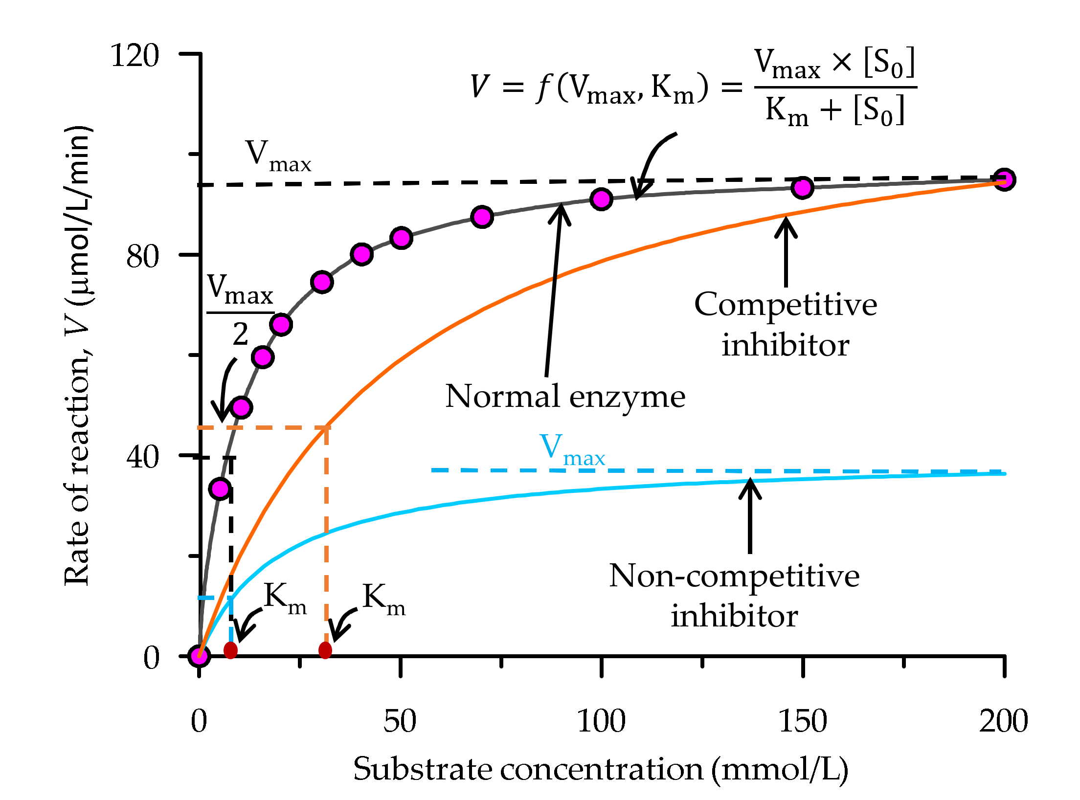Suschem 02 00007 g009