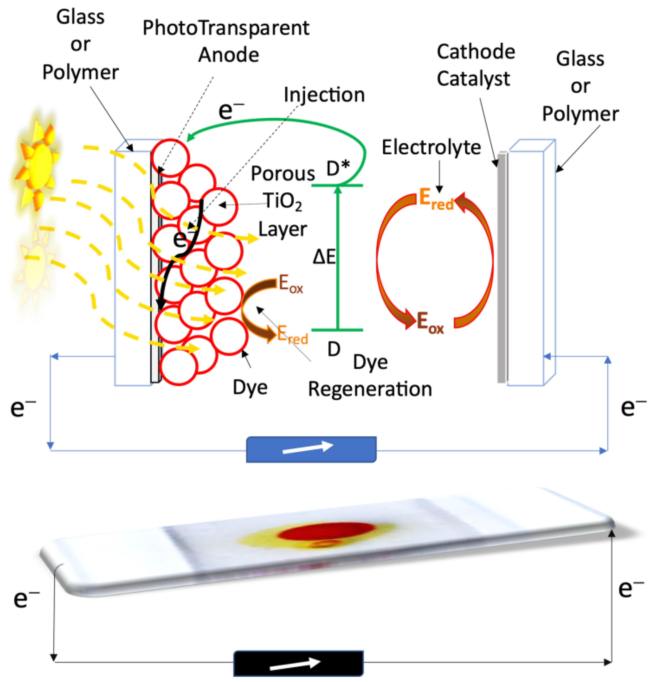 Suschem 02 00013 sch001 Suschem 02 00013 sch001