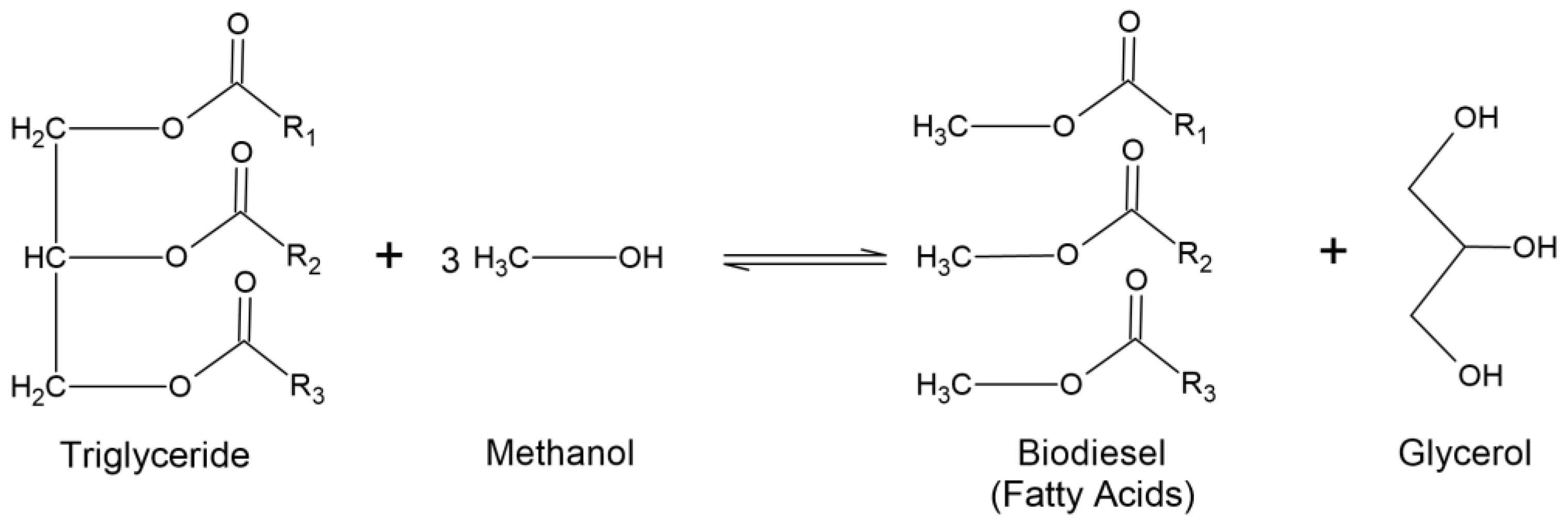 Suschem 02 00017 g001