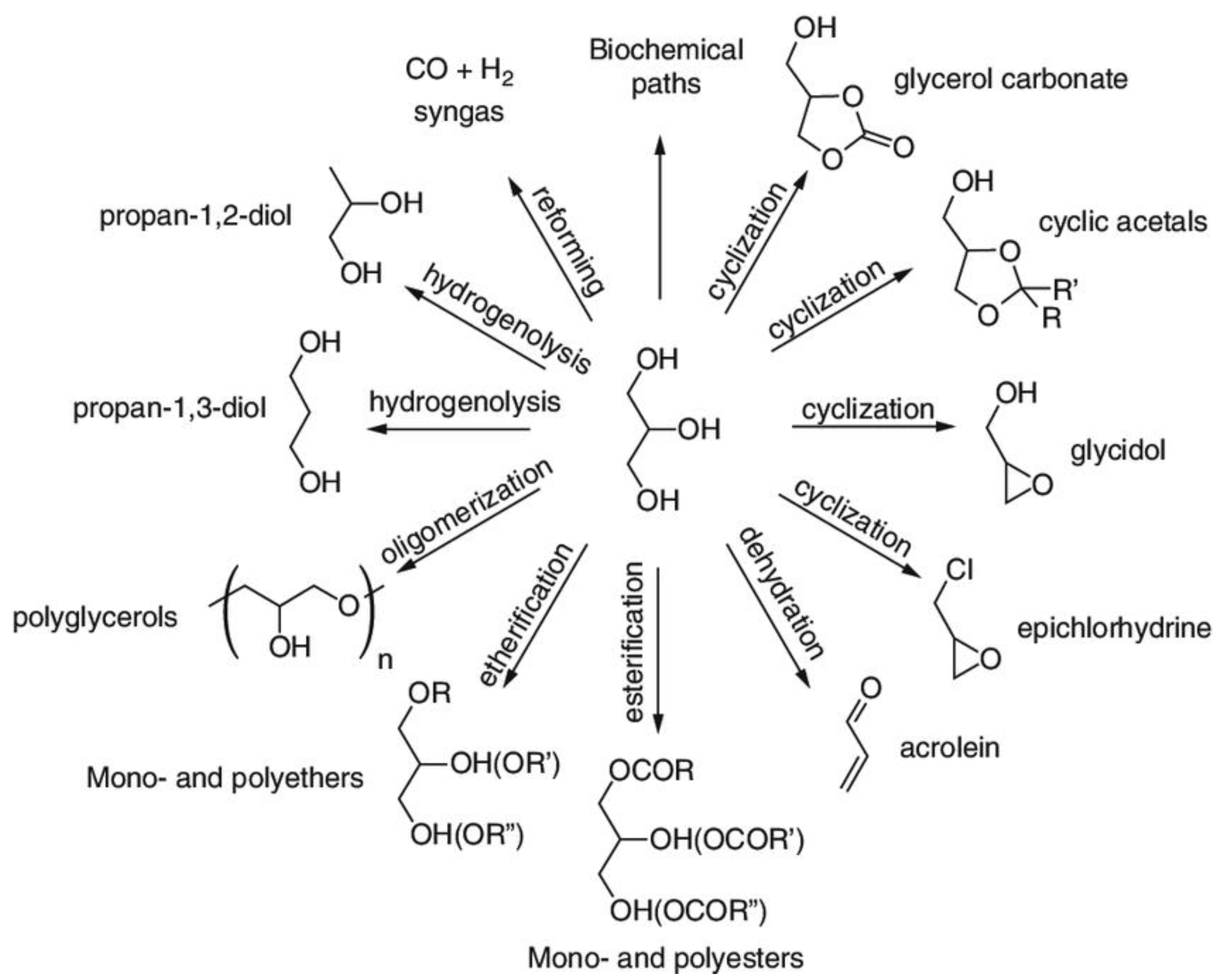 Suschem 02 00017 g005
