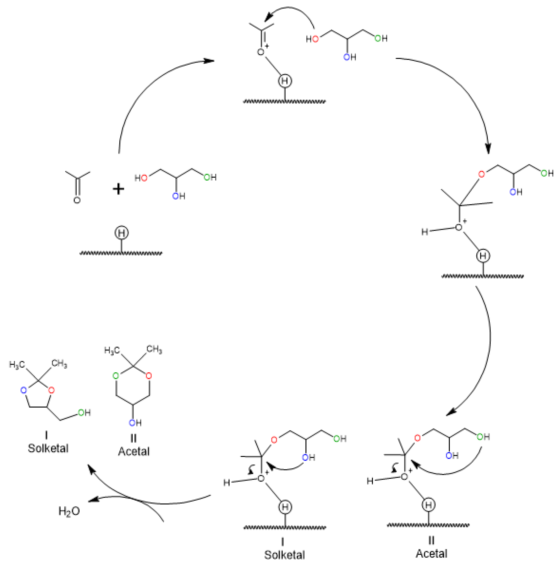 Suschem 02 00017 g008