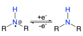 Suschem 02 00024 i001 Suschem 02 00024 i001