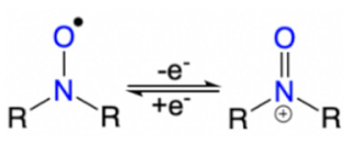 Suschem 02 00024 i004 Suschem 02 00024 i004