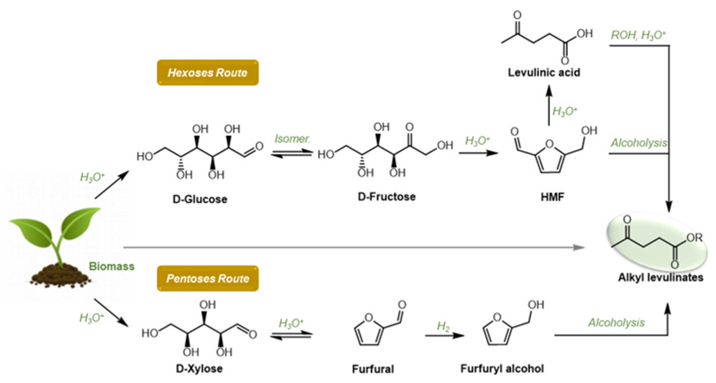 Suschem 02 00027 g001