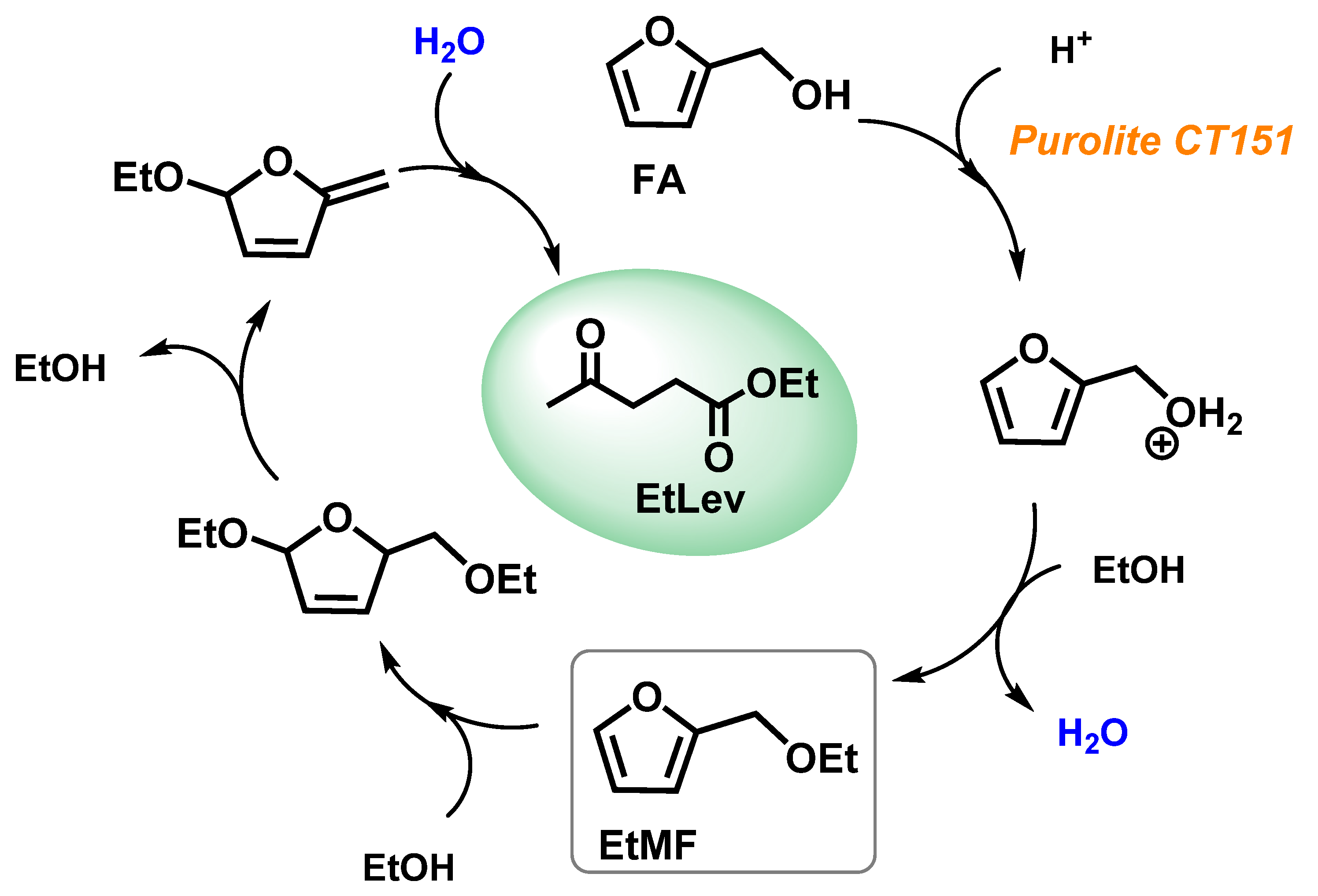 Suschem 02 00027 g003