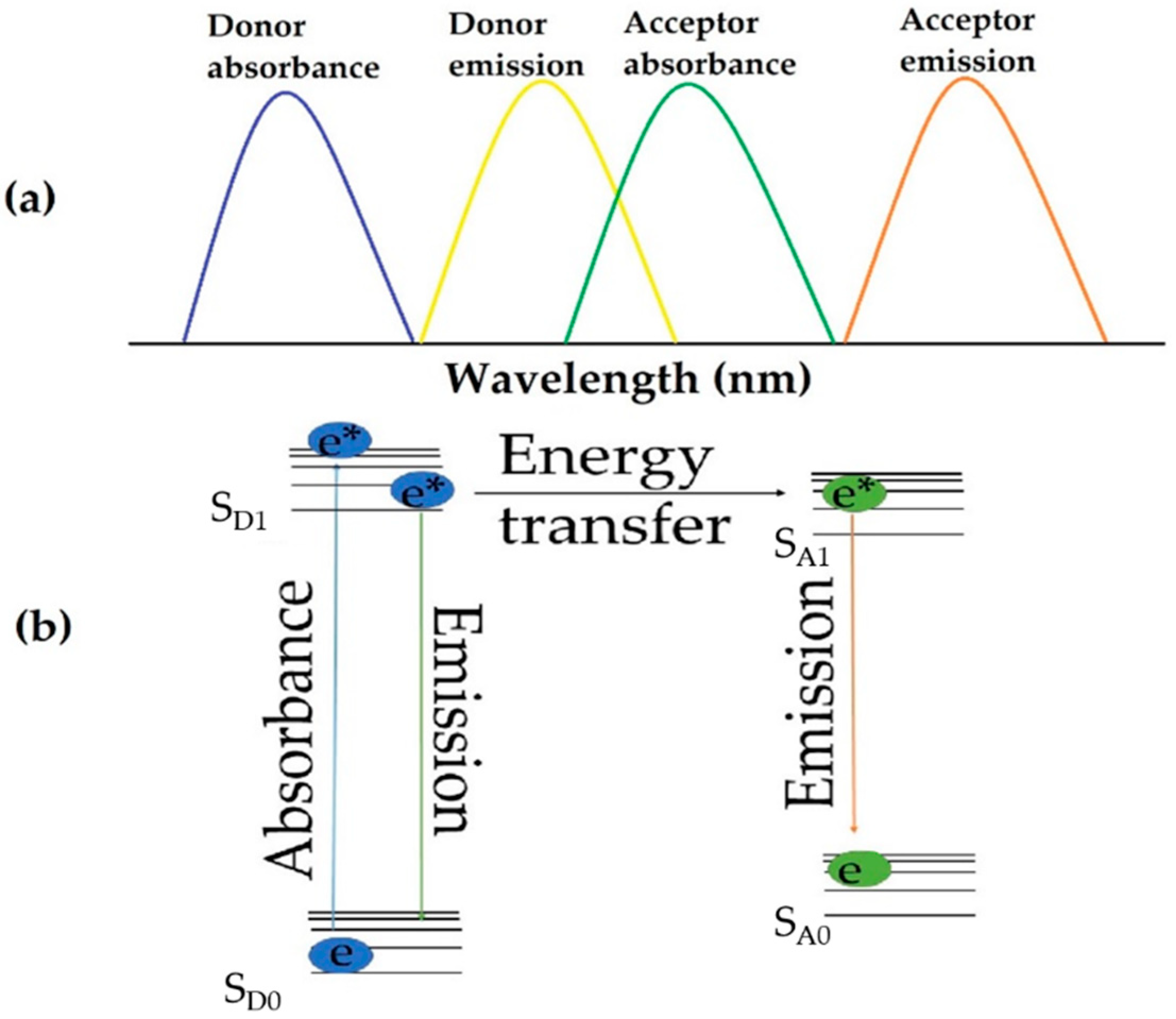 Suschem 02 00031 g001 550