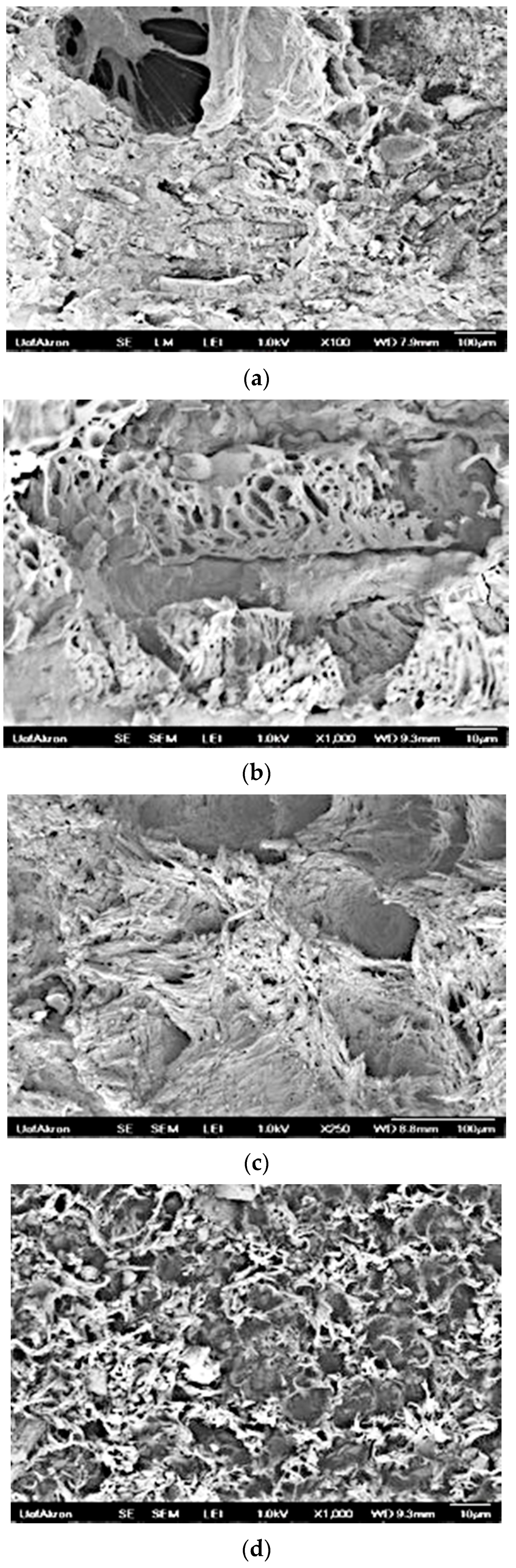 Suschem 02 00035 g014
