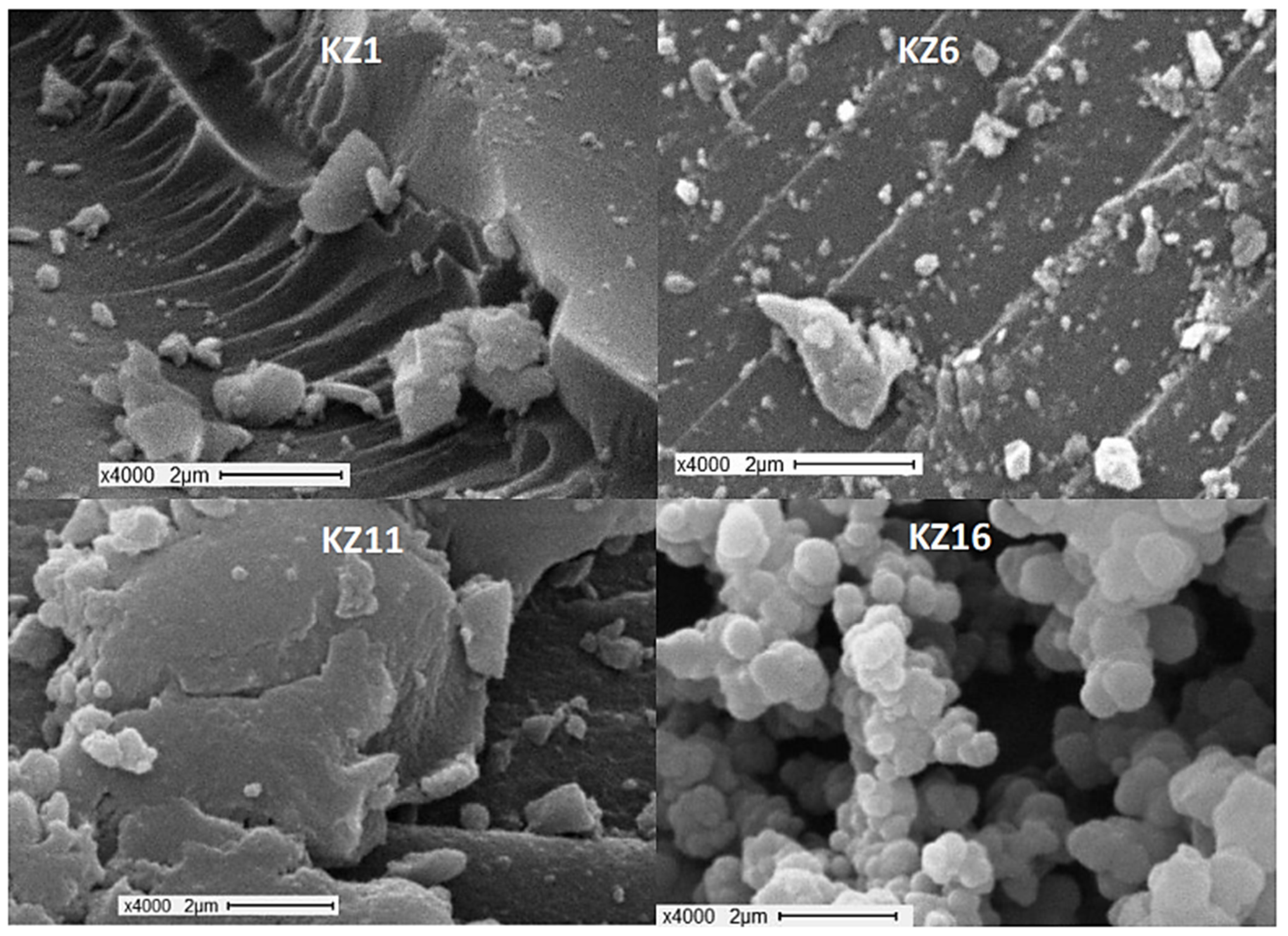 Suschem 02 00037 g003 550