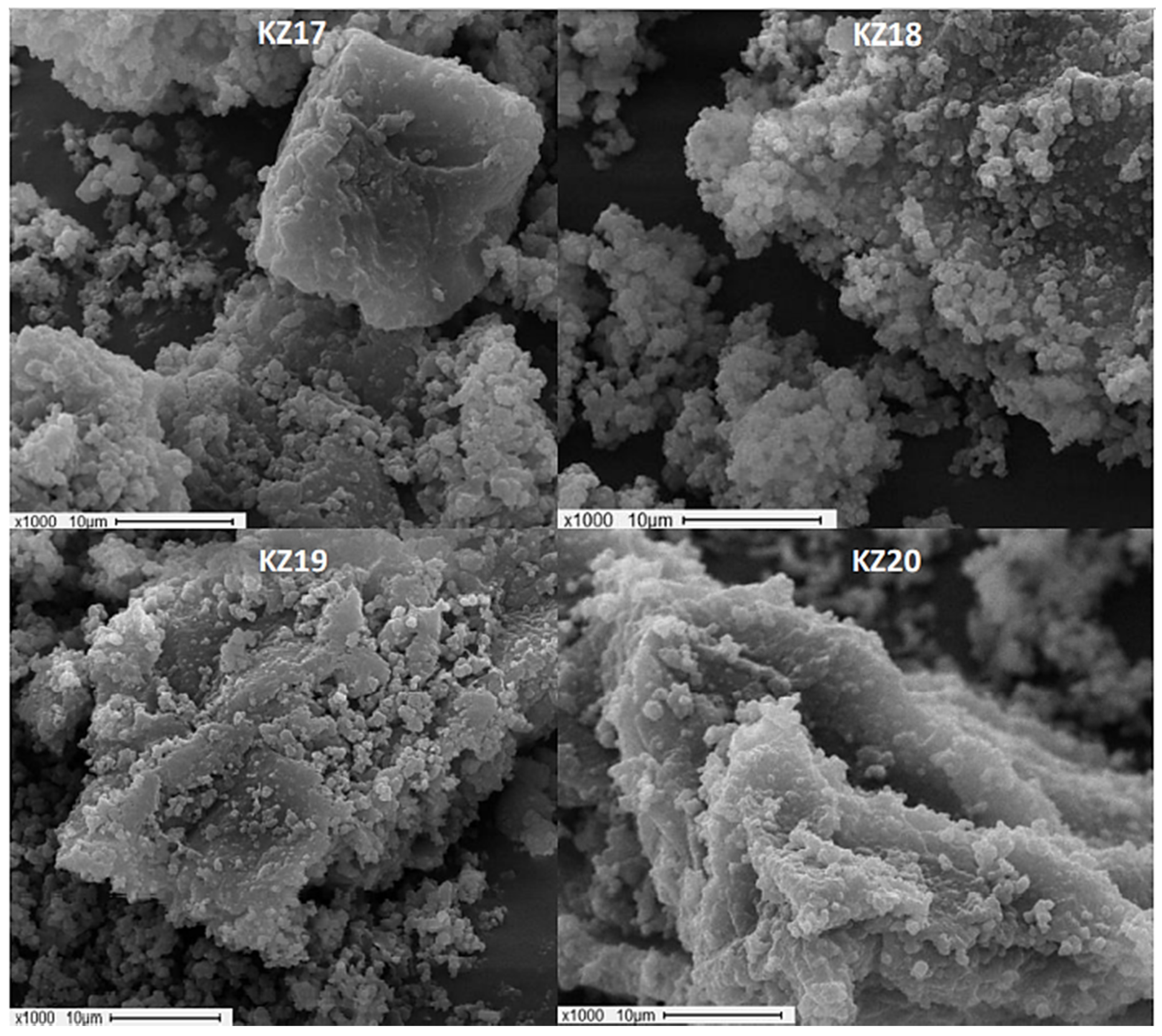 Suschem 02 00037 g005 550