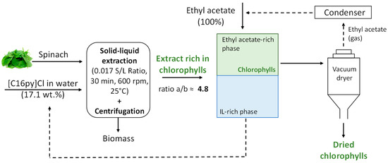 Cloud Point Extraction of Chlorophylls from Spinach Leaves Using Aqueous  Solutions of Nonionic Surfactants