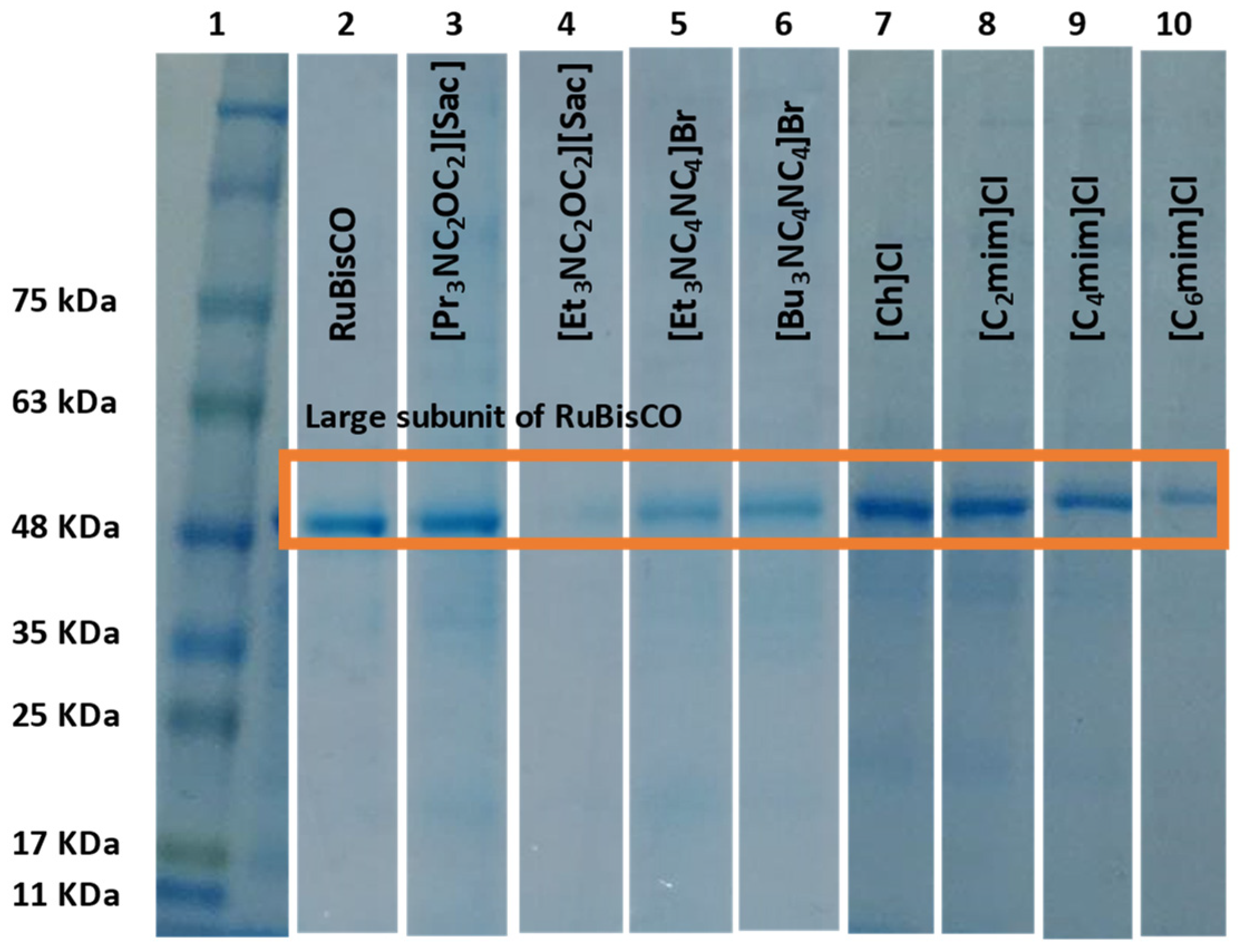 Suschem 03 00001 g002