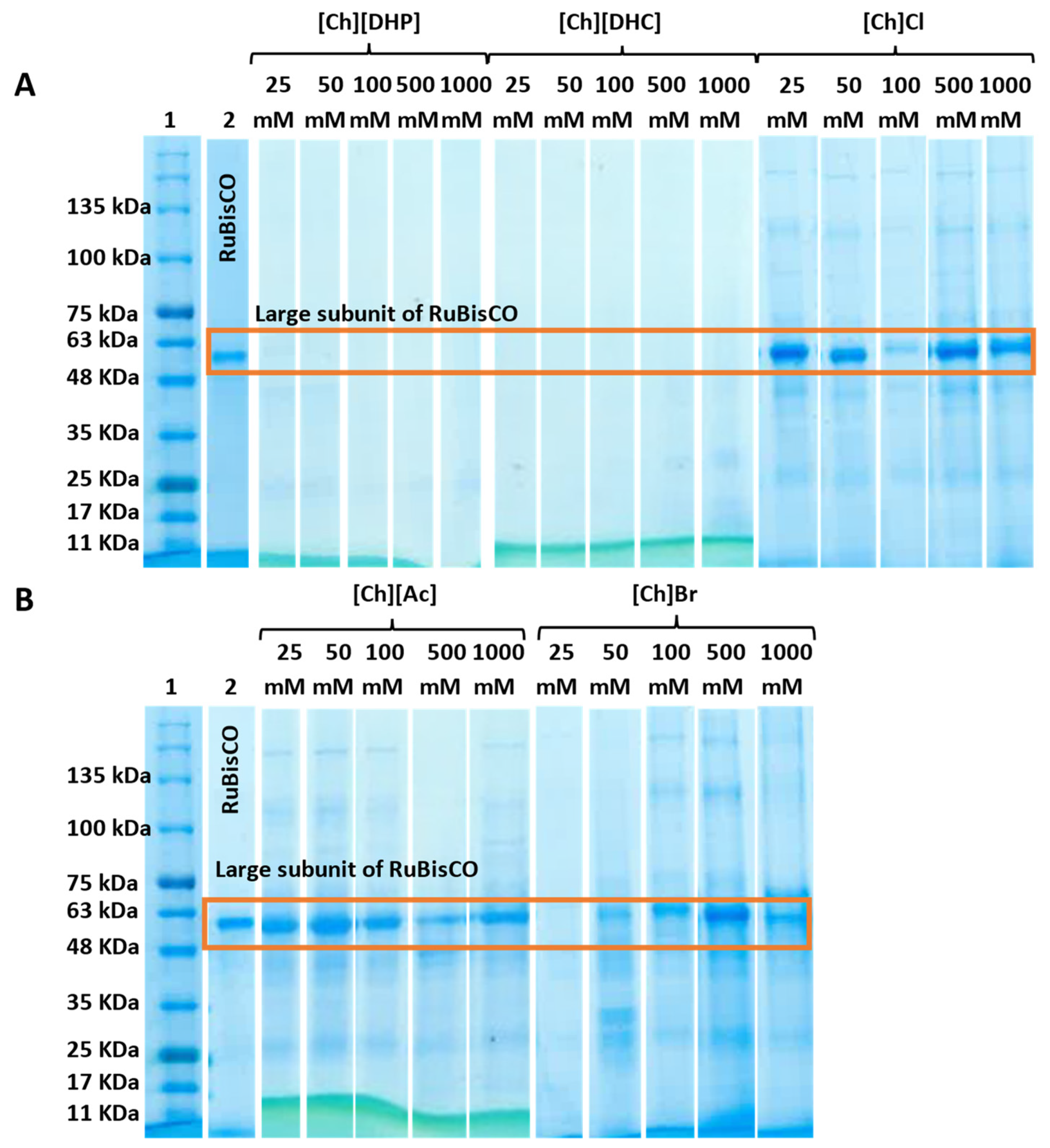 Suschem 03 00001 g003