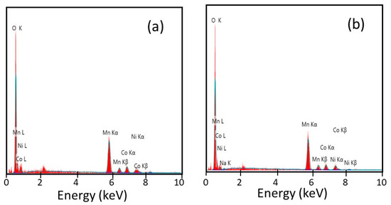 Effect of Na Doping on the Electrochemical Performance of