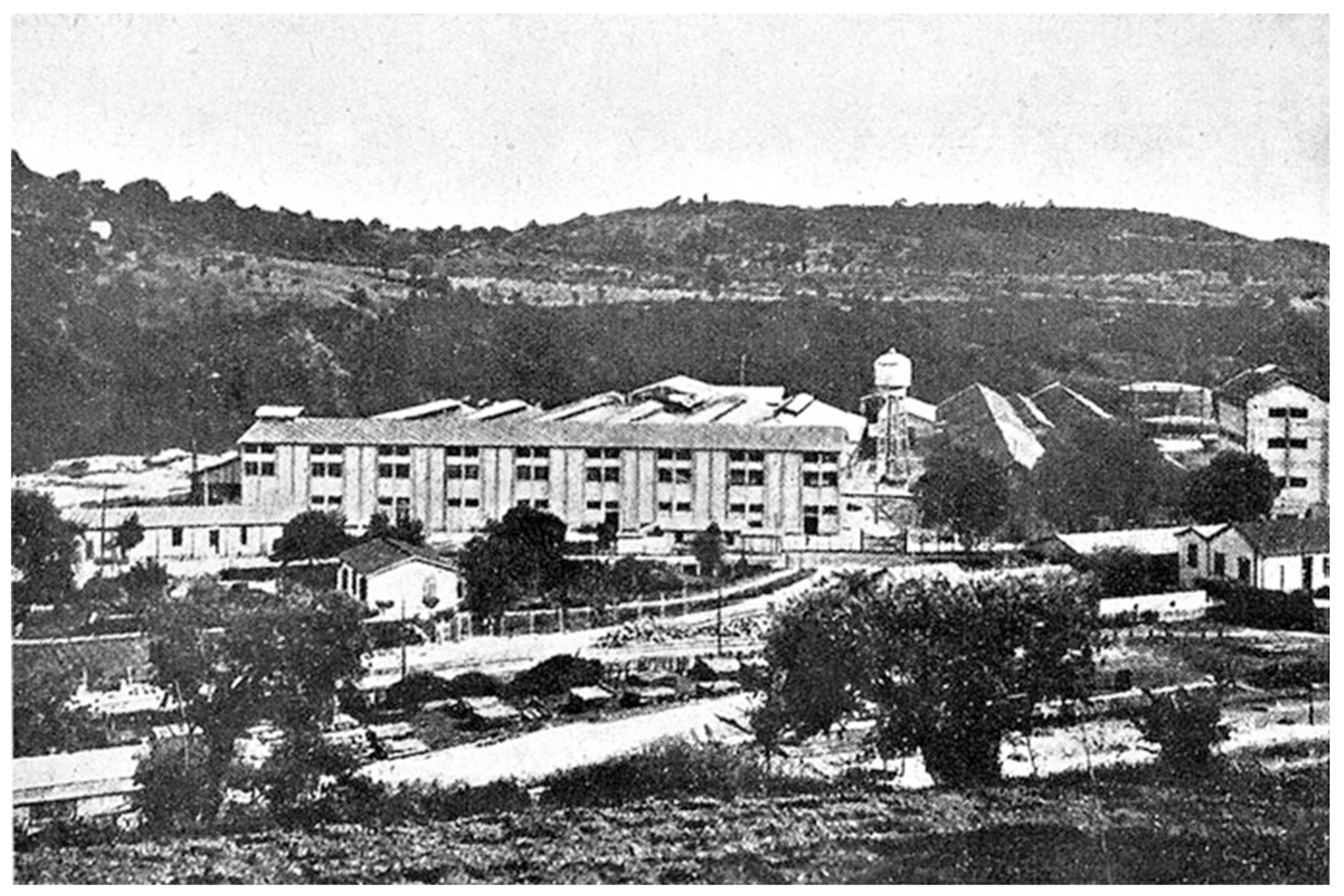 Suschem 03 00011 g003 550