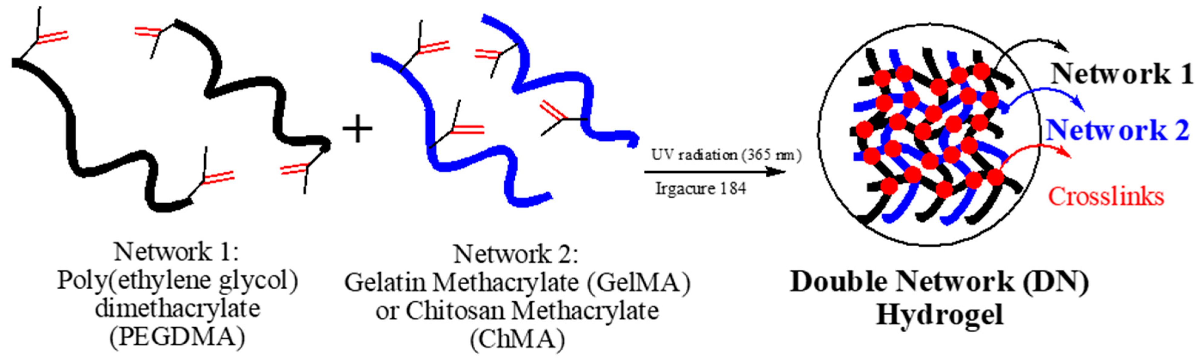 Suschem 03 00016 g001 550