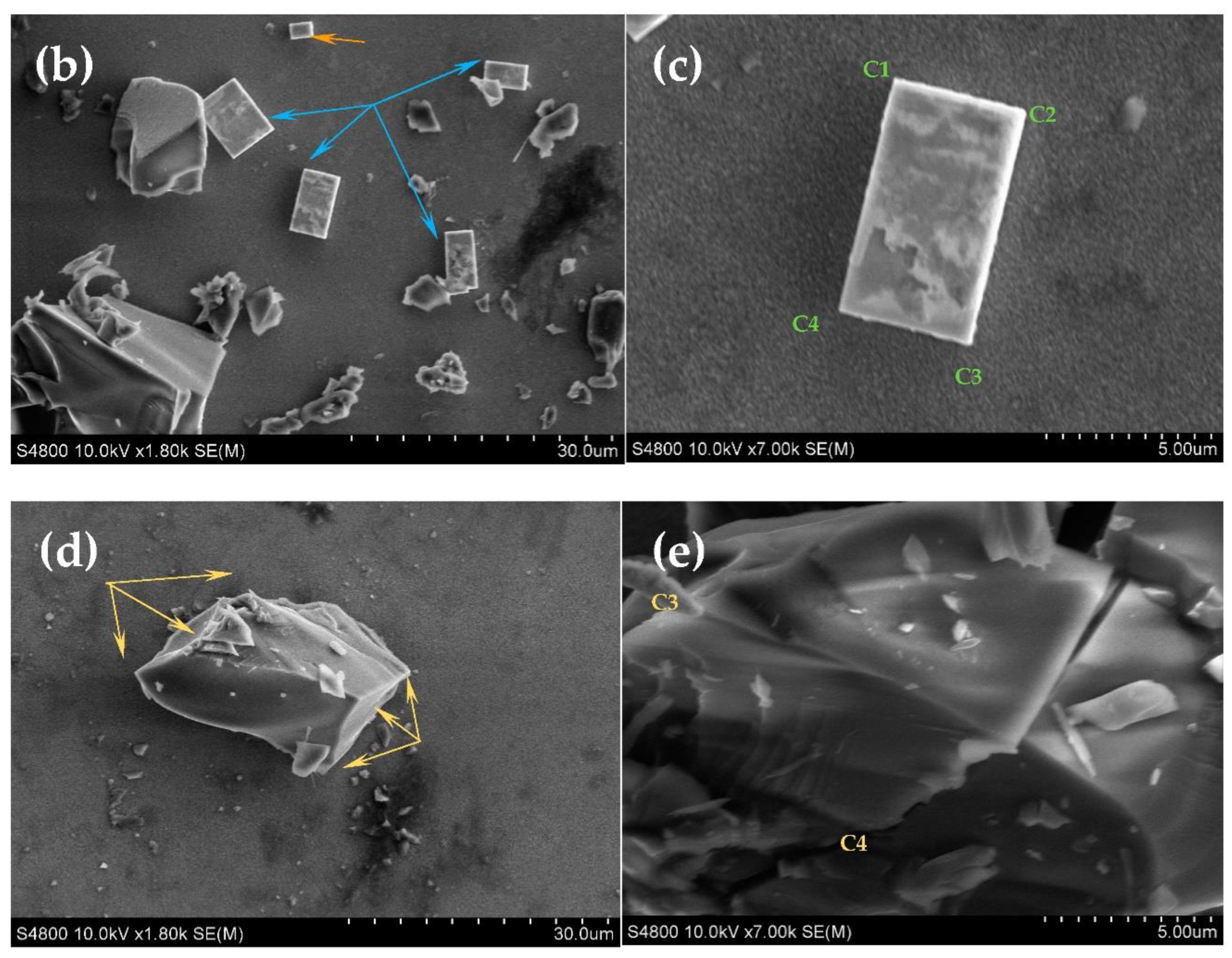 Suschem 03 00018 g003b