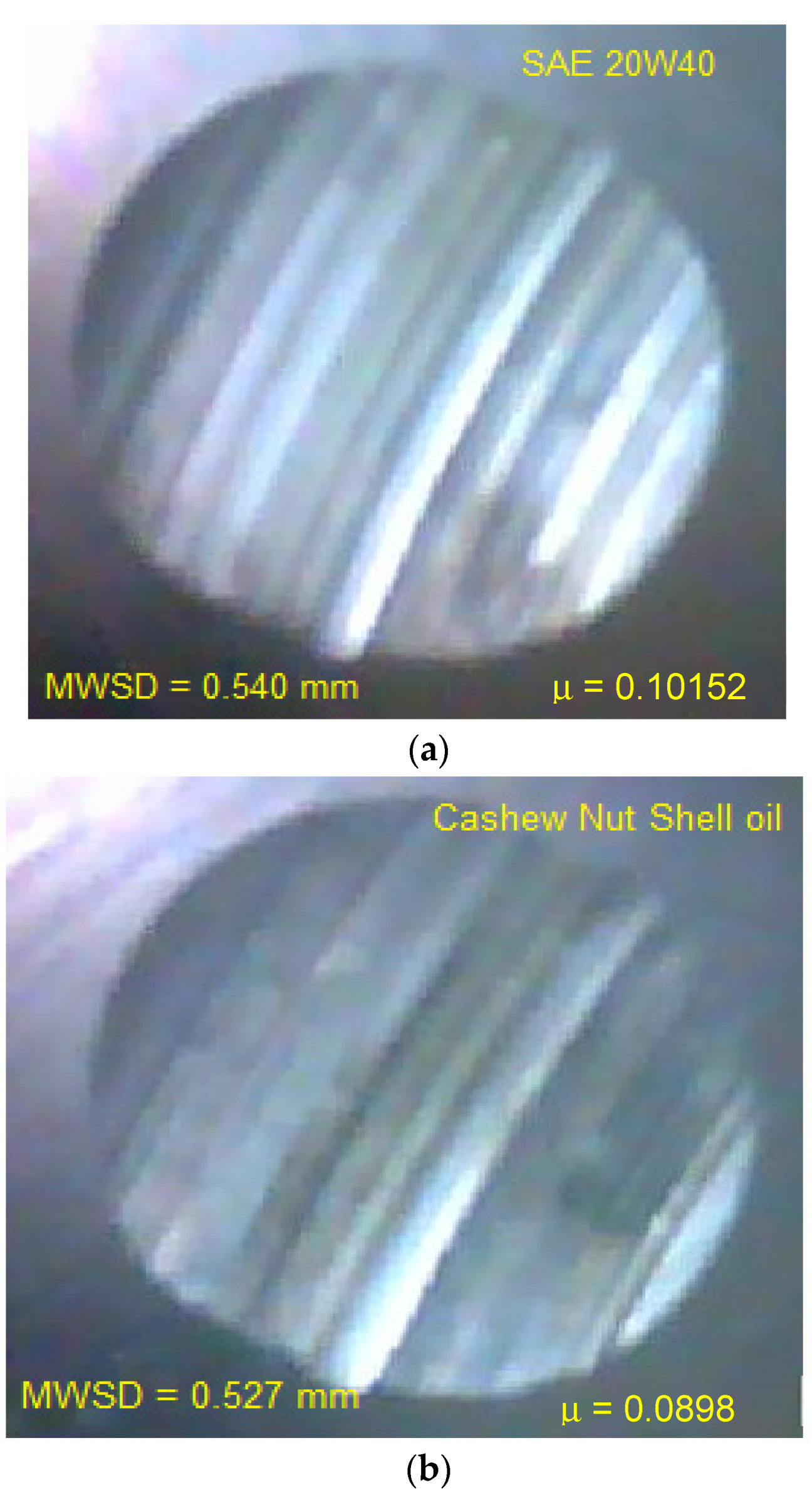 Suschem 03 00030 g002a