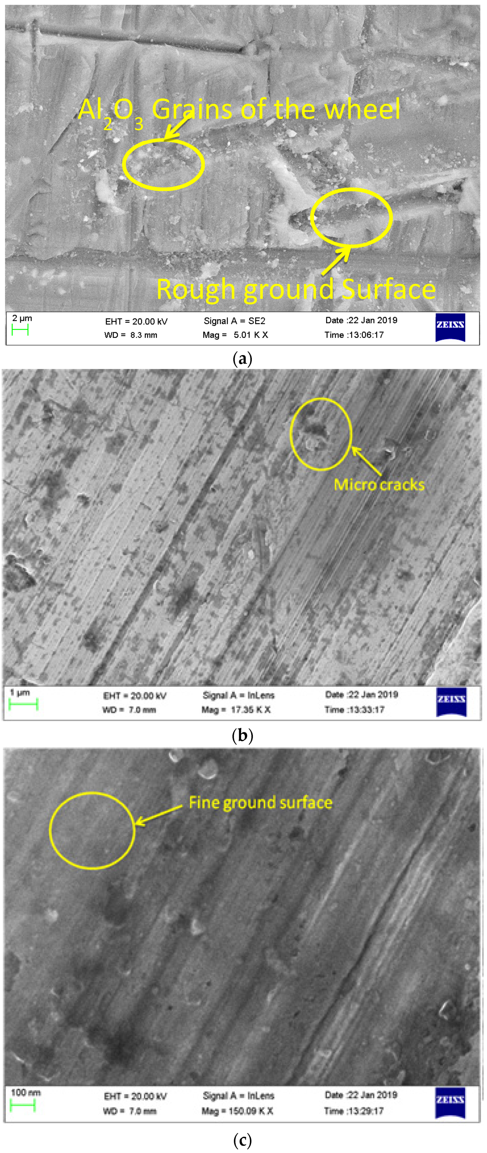 Suschem 03 00030 g010